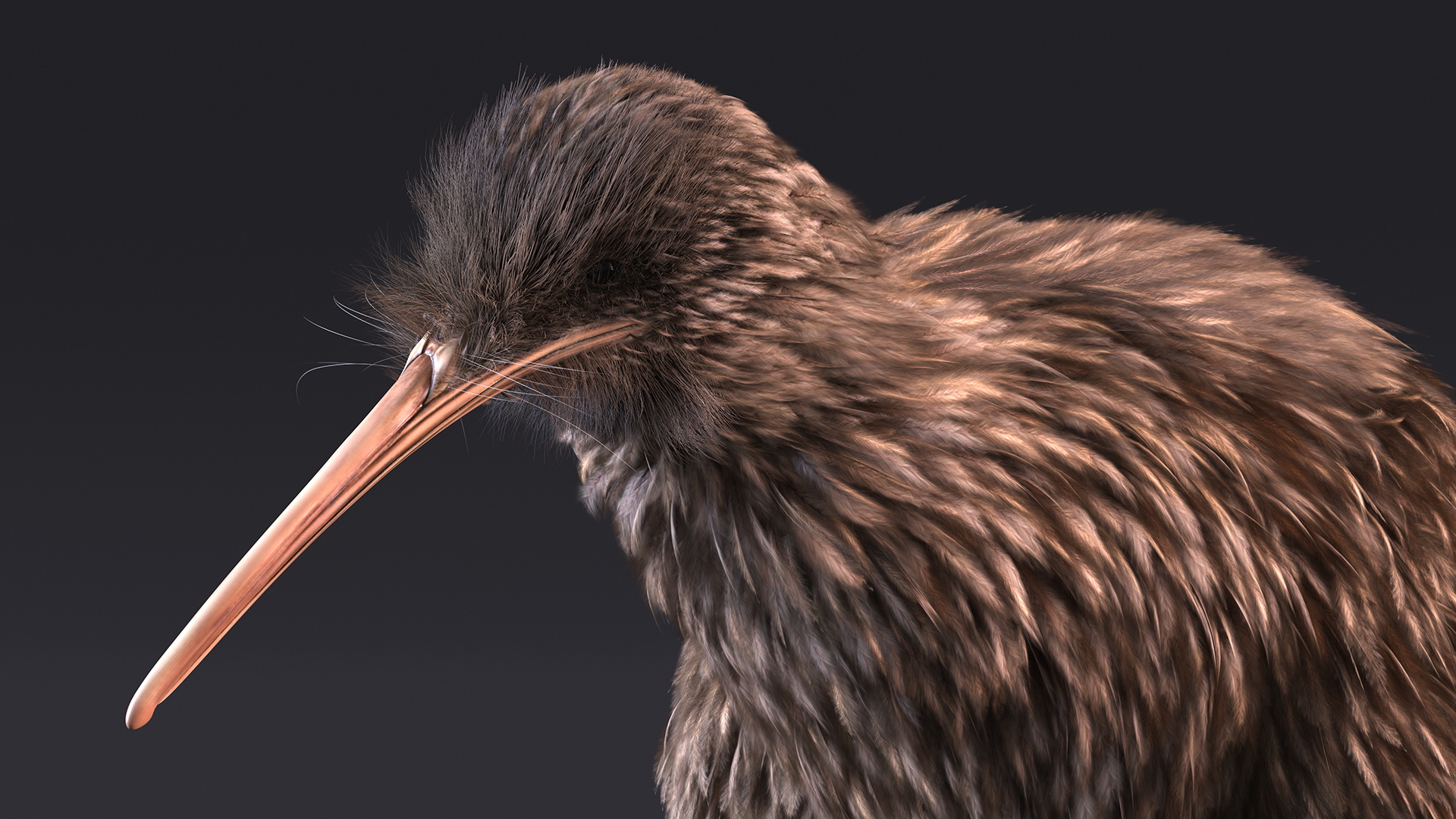 Run Pose Kiwi Bird Fur 3D