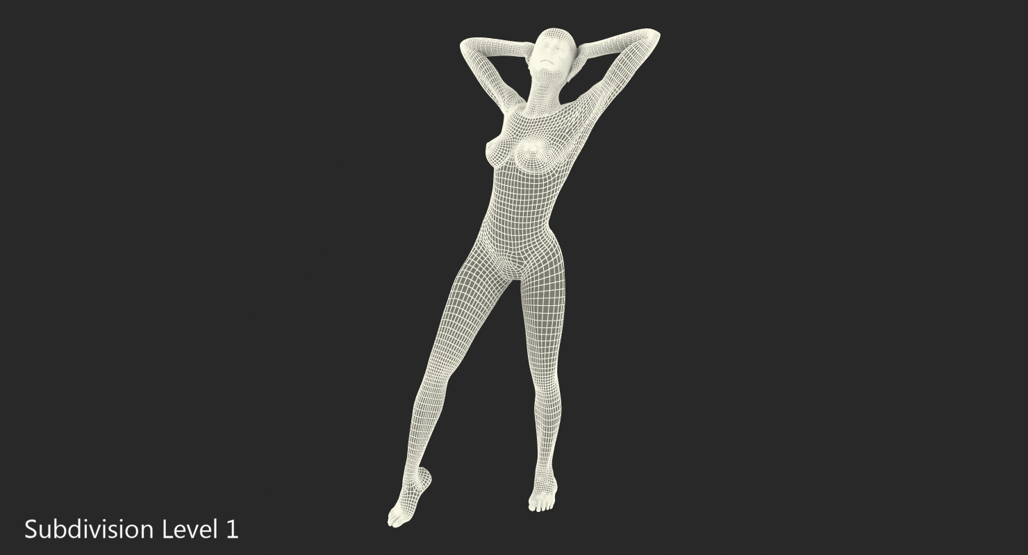 Female Muscular System Anatomy Rigged 3D