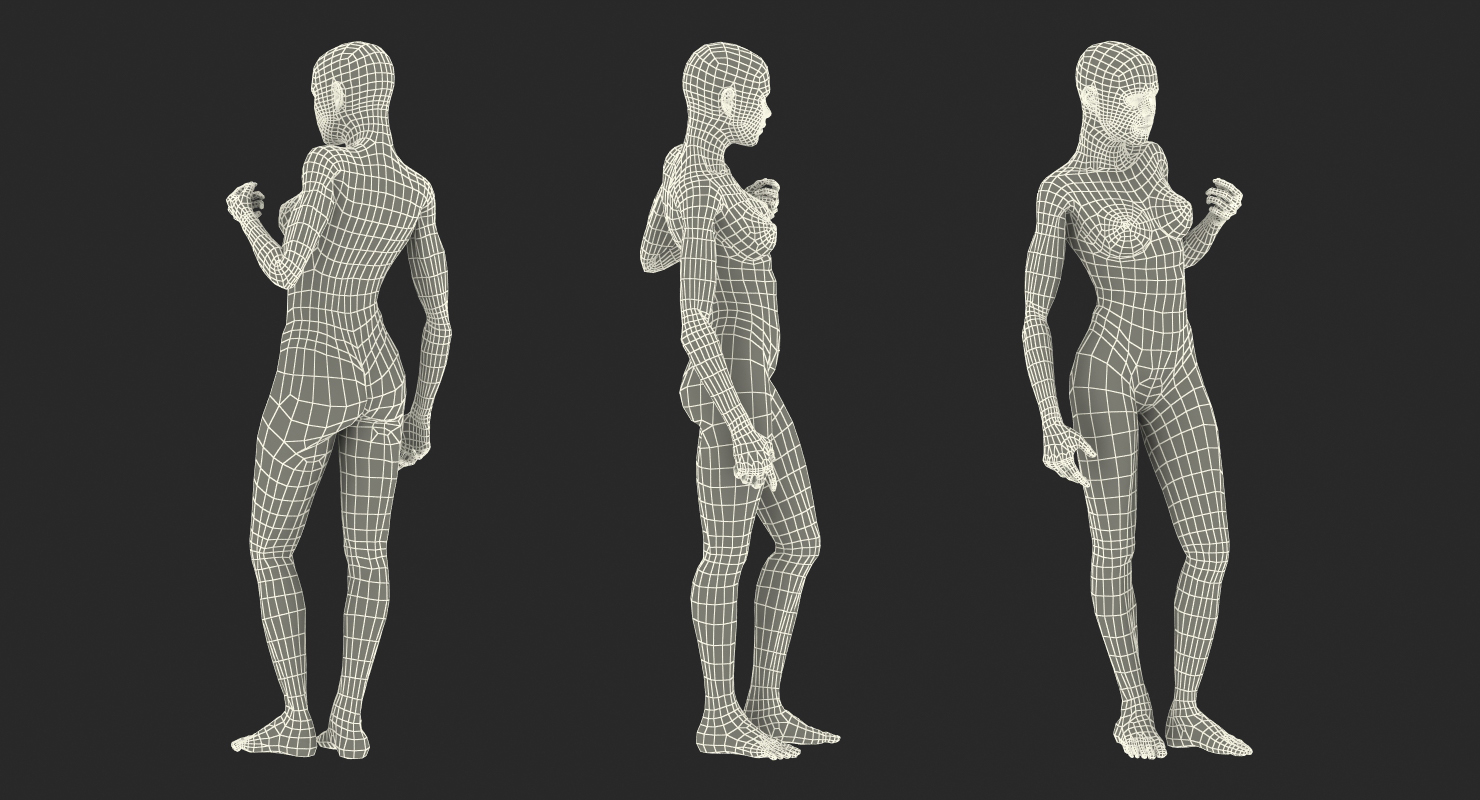 Female Muscular System Anatomy Rigged 3D