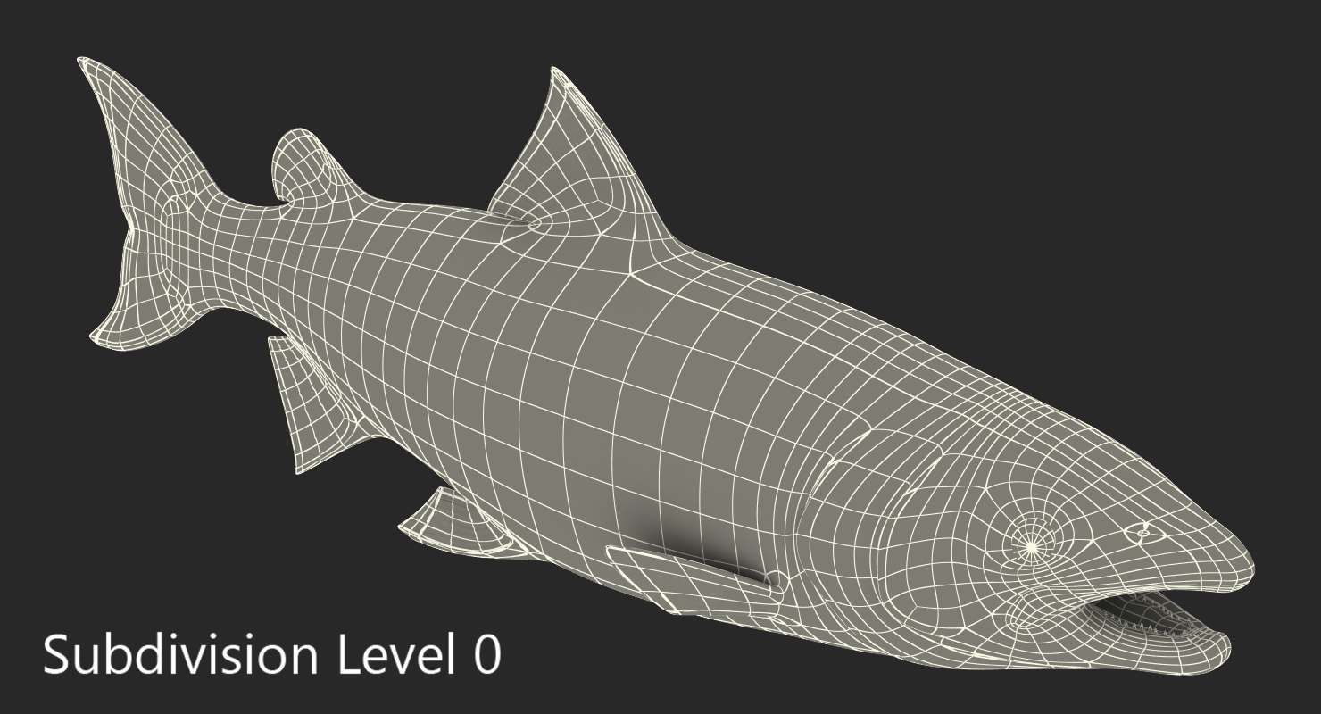 3D model Atlantic Salmon Fish