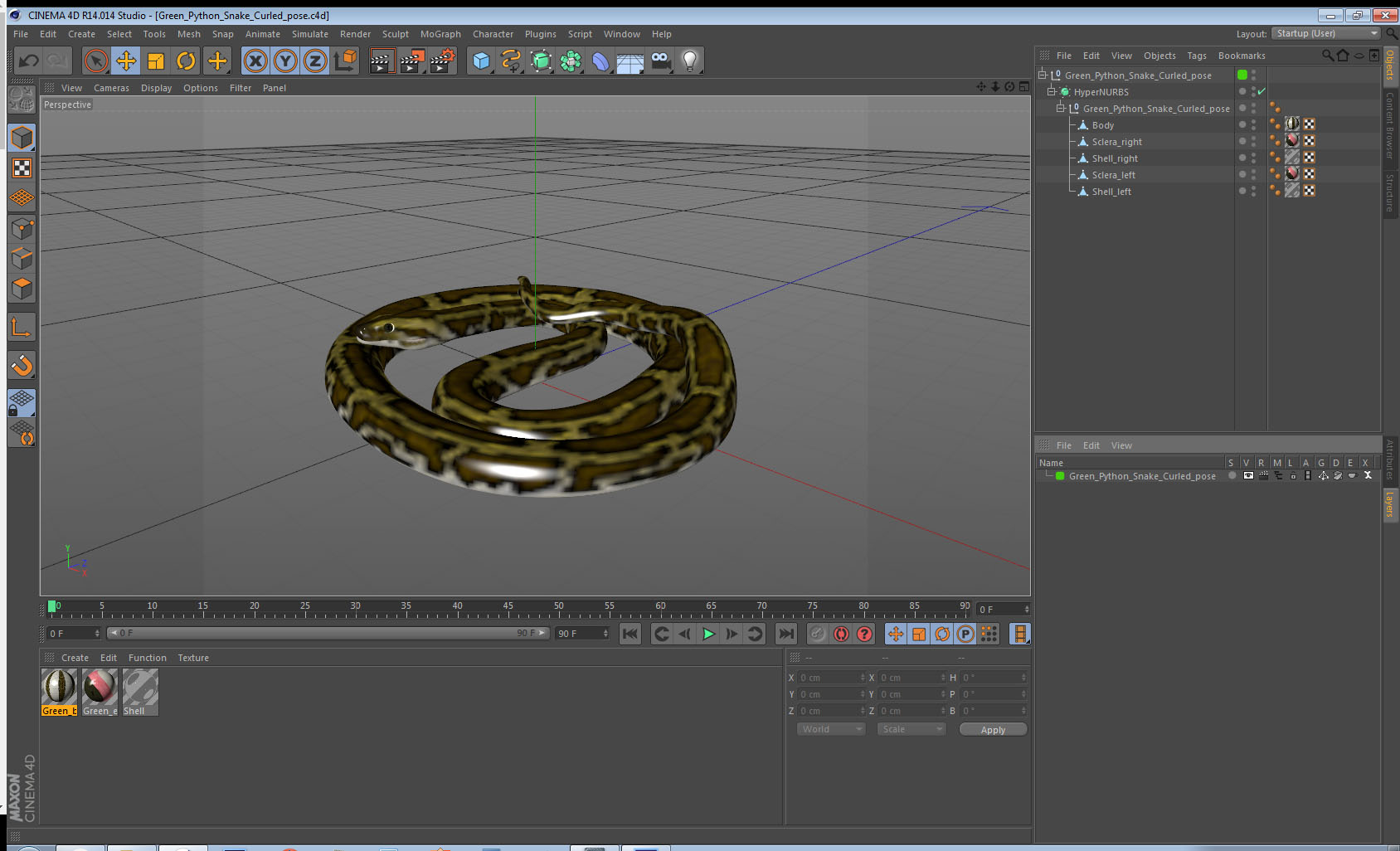 3D model Green Python Snake Curled pose