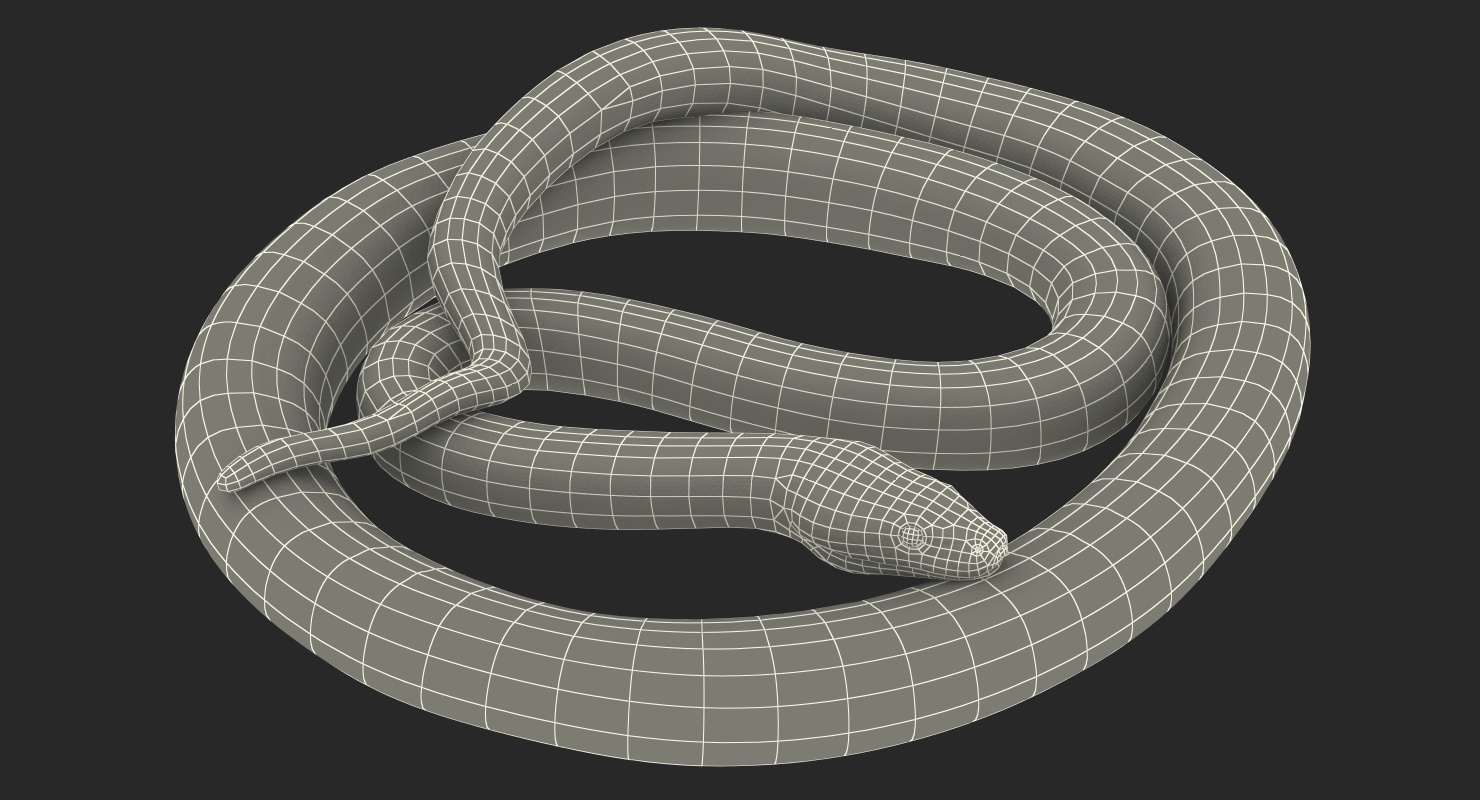 3D model Green Python Snake Curled pose