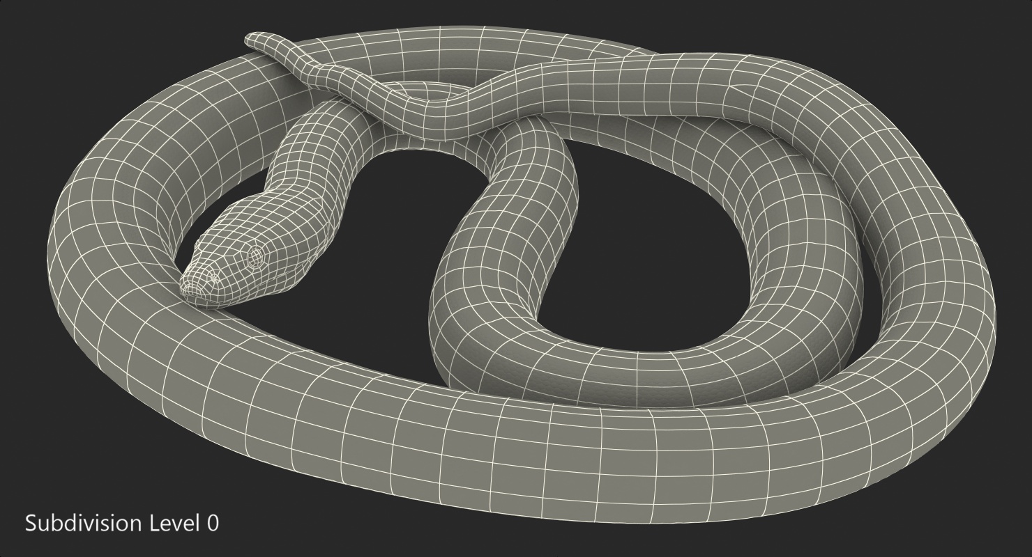 3D model Green Python Snake Curled pose