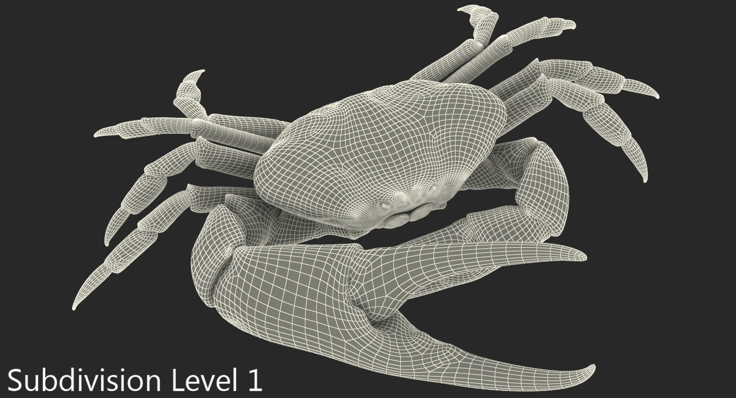 3D model Queen Crab