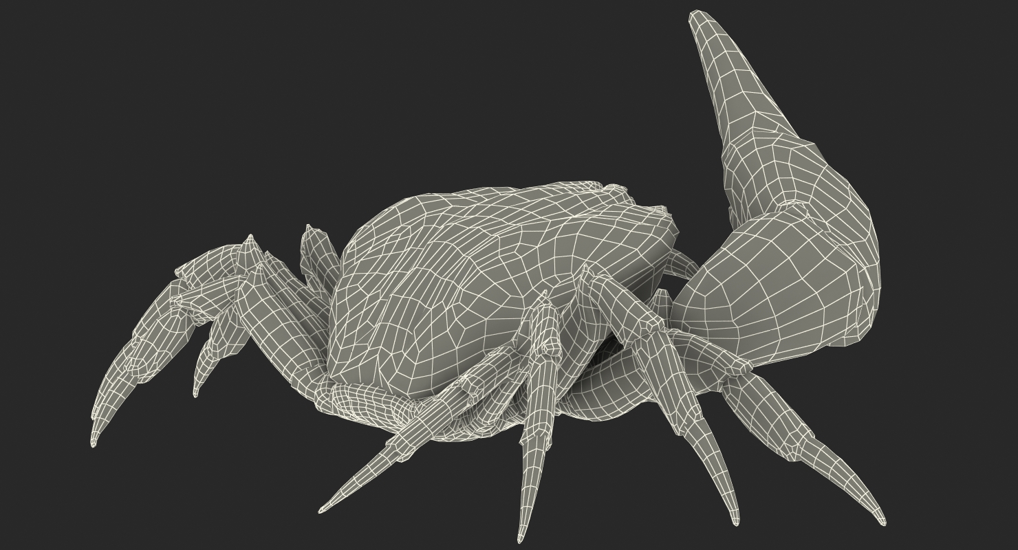 3D model Queen Crab