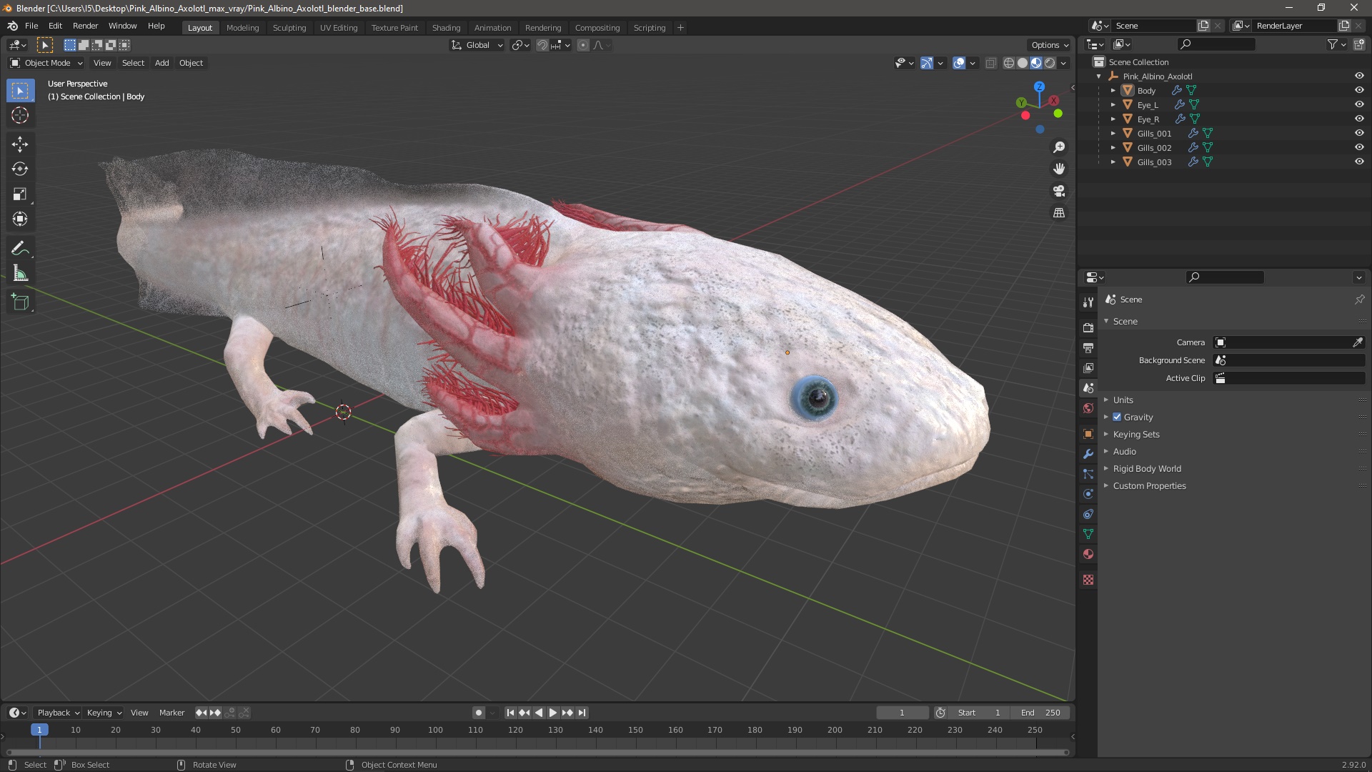 Pink Albino Axolotl 3D model