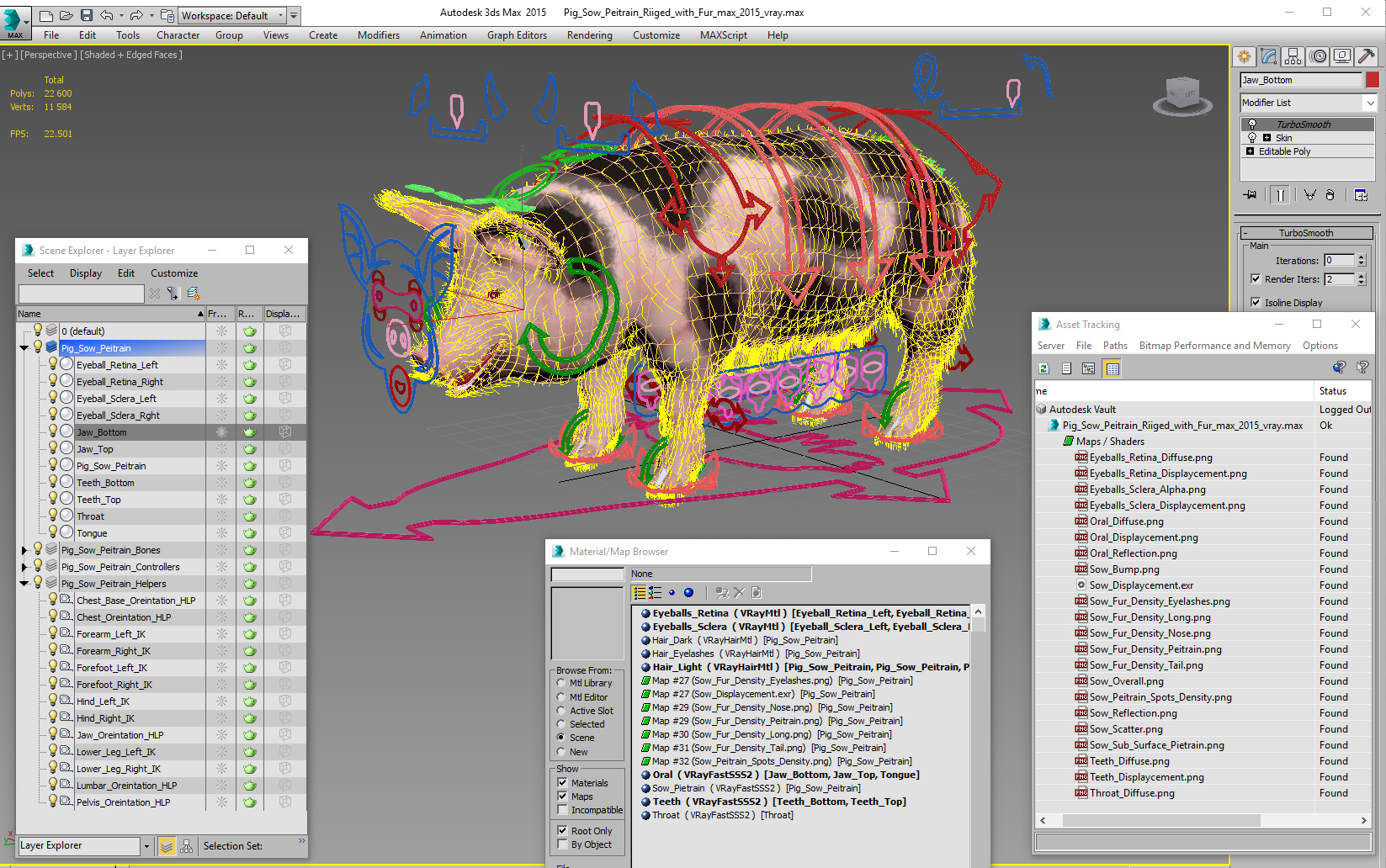 Pig Sow Peitrain Rigged with Fur 3D