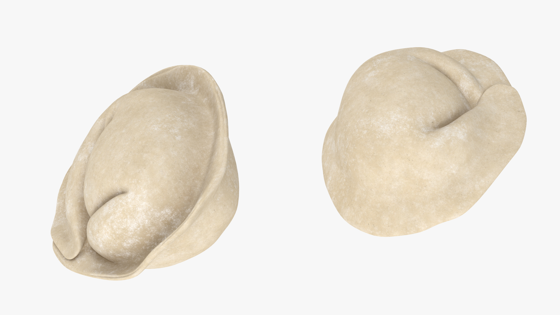 3D model Pelmeni Dumpling Raw