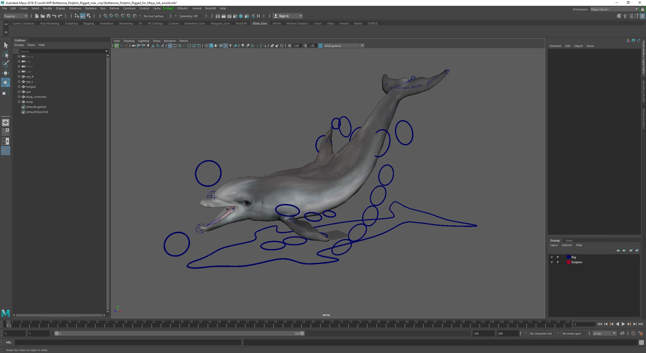 Bottlenose Dolphin Rigged for Maya 3D model