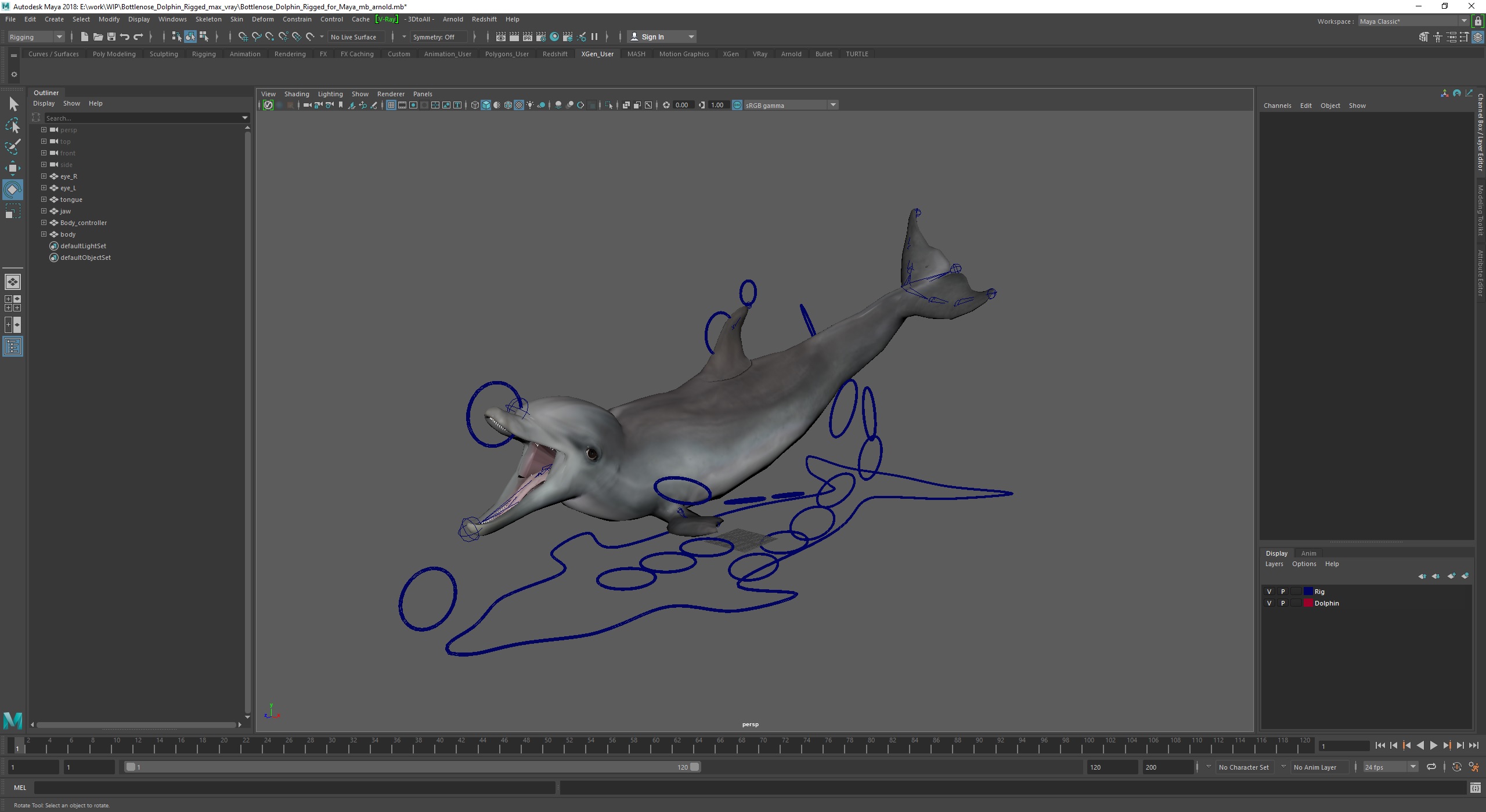 Bottlenose Dolphin Rigged for Maya 3D model