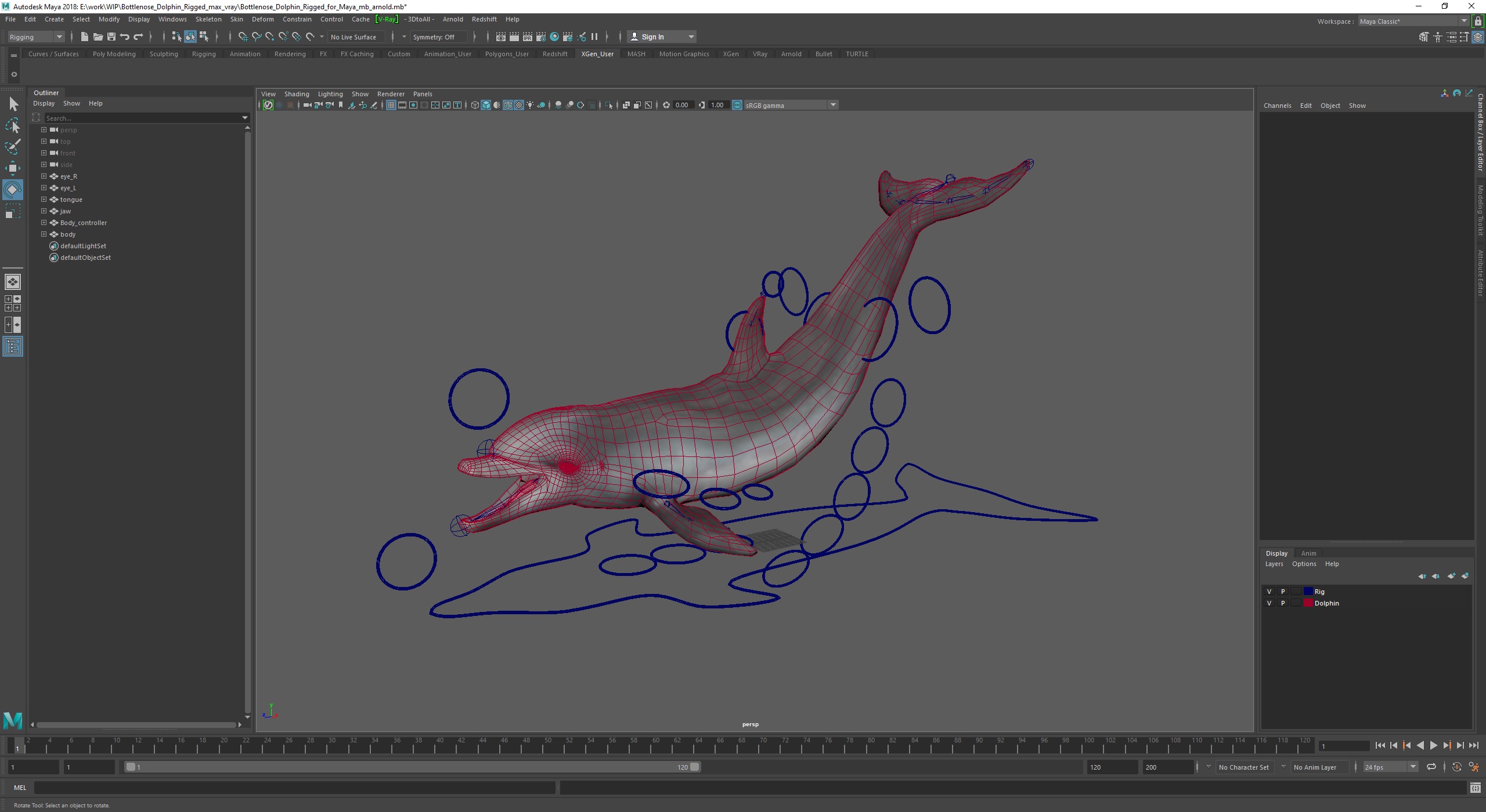 Bottlenose Dolphin Rigged for Maya 3D model