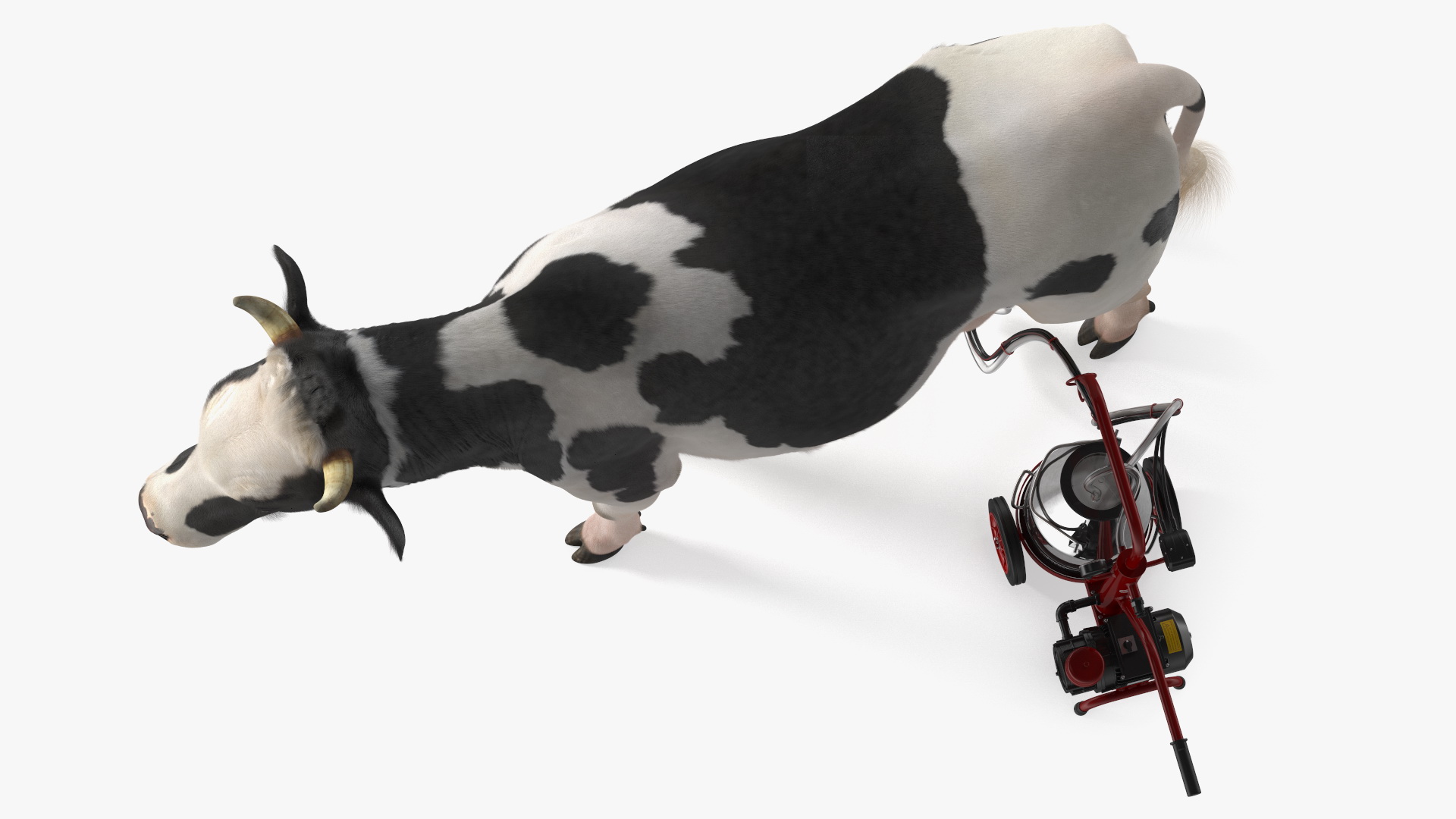 Dairy Cow with Milking Machine Fur 3D model