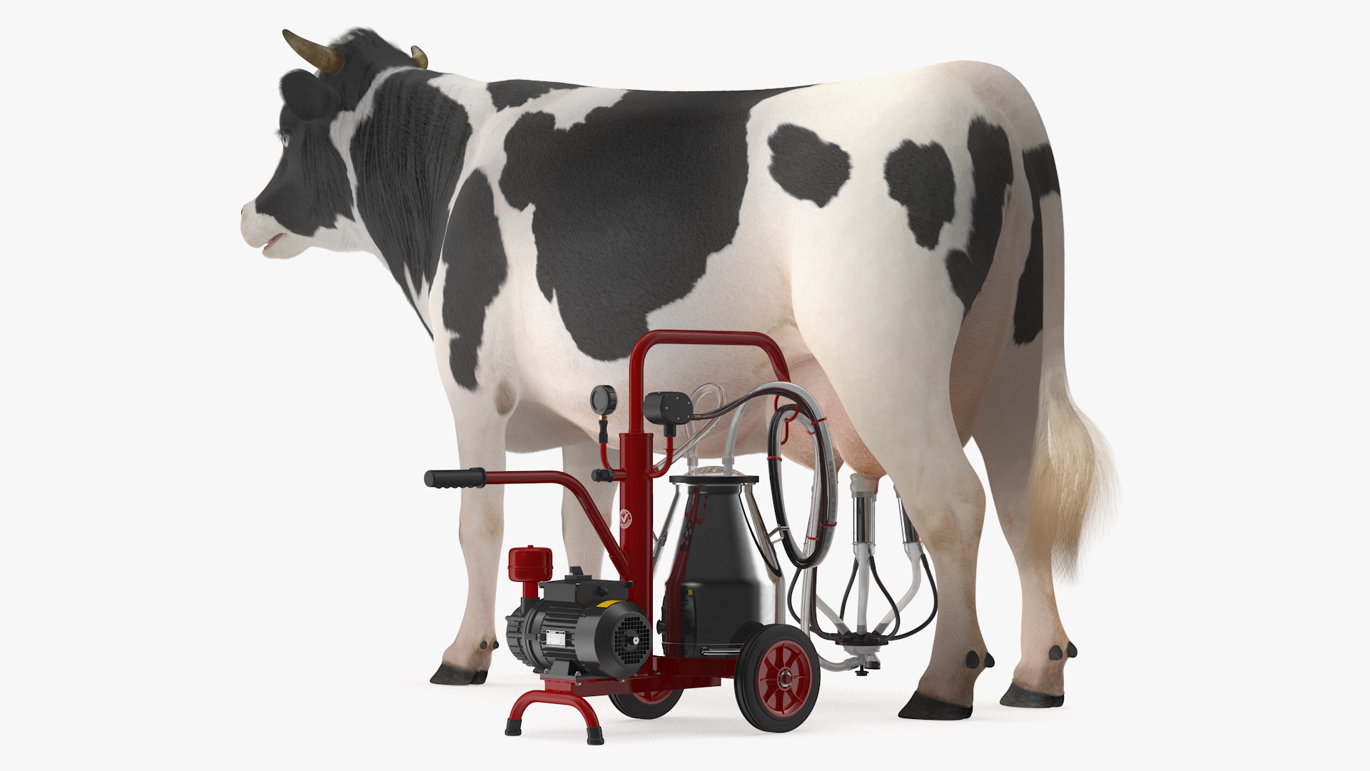 Dairy Cow with Milking Machine Fur 3D model