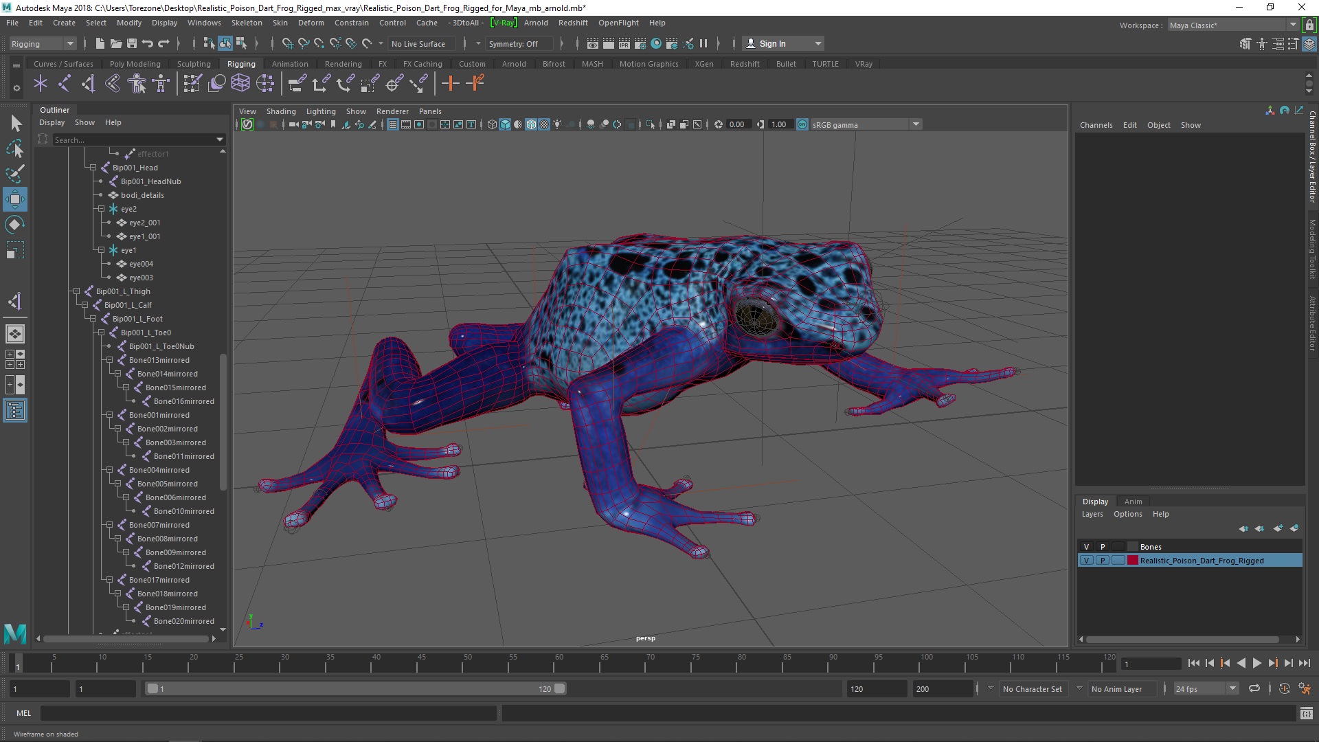 Realistic Poison Dart Frog Rigged for Maya 3D