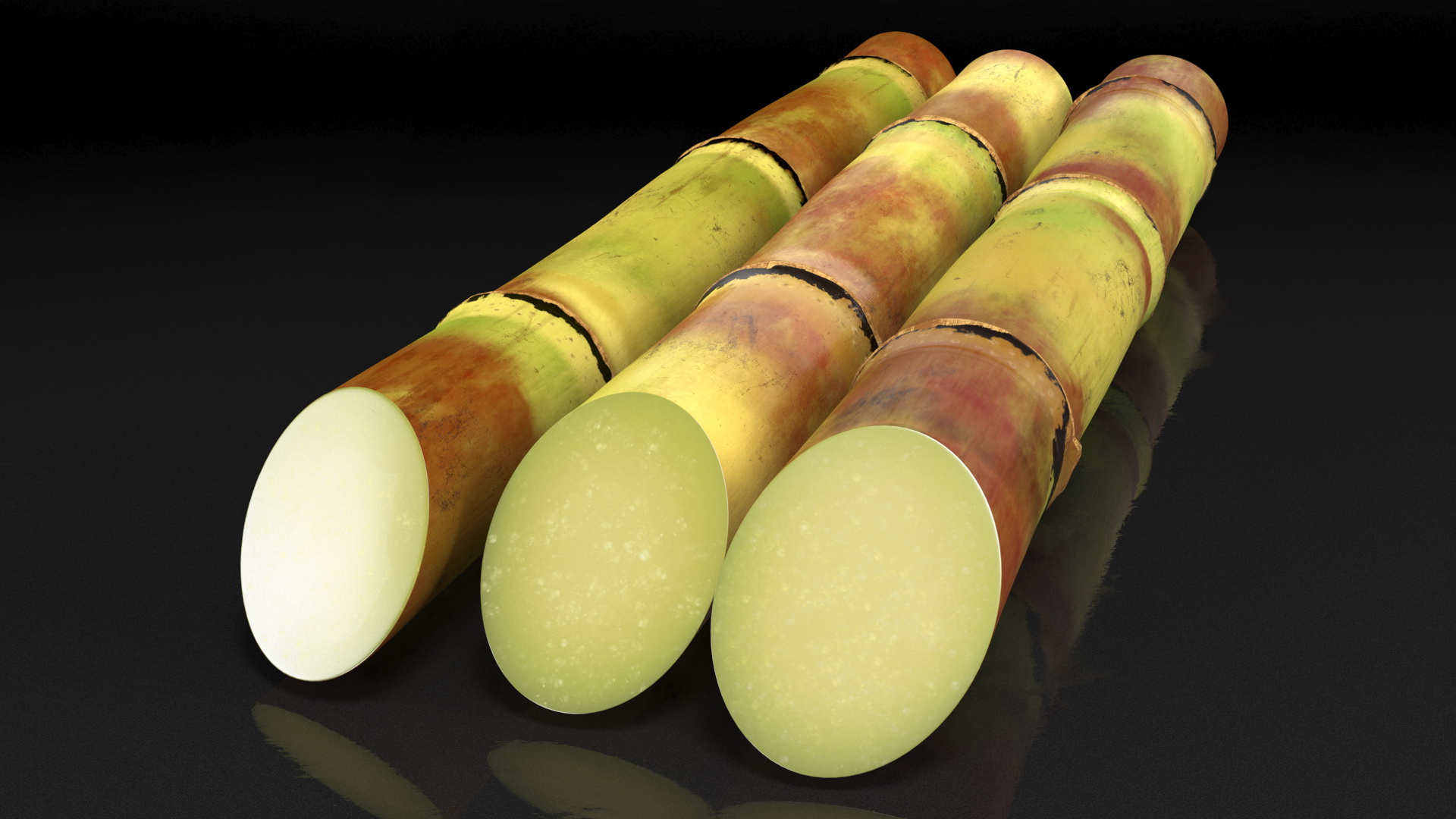 3D Sugarcane Sticks