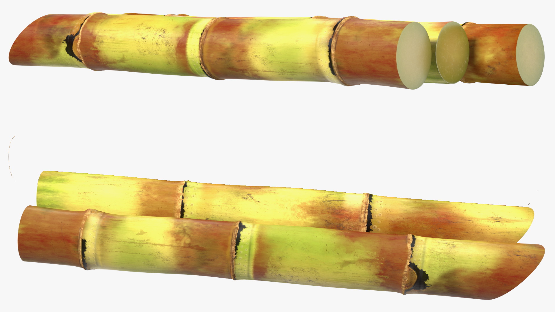 3D Sugarcane Sticks