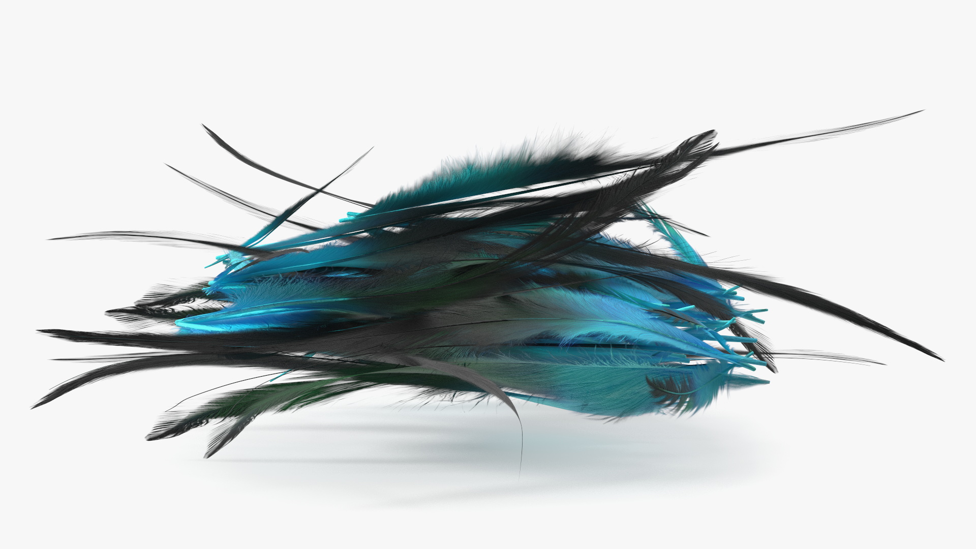 3D Blue Feathers model