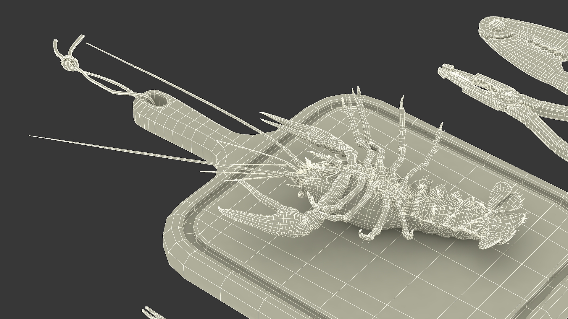 Crawfish Dinner with Seafood Tools 3D model