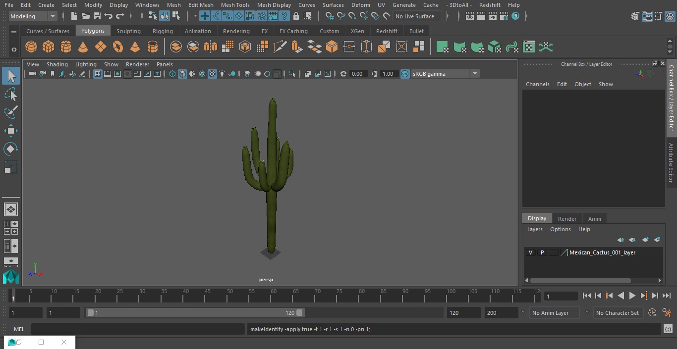 Mexican Cactus 3D model