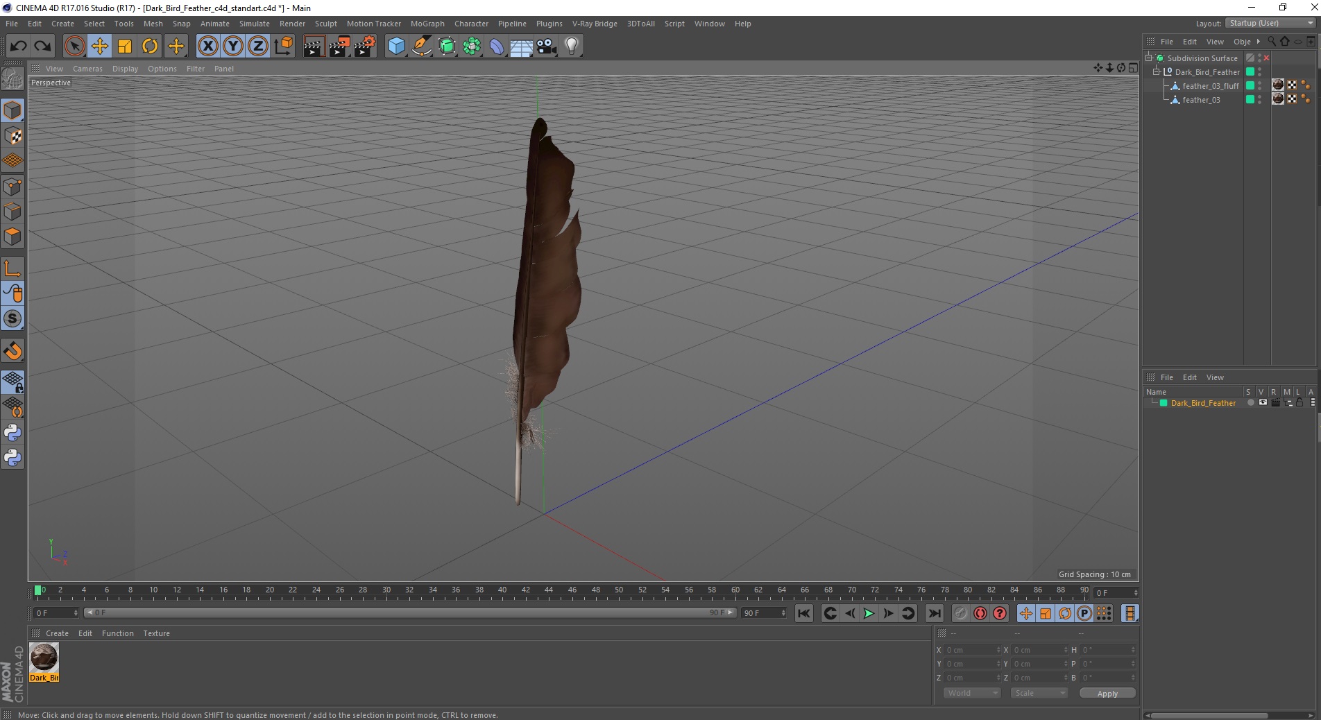 Dark Bird Feather 3D