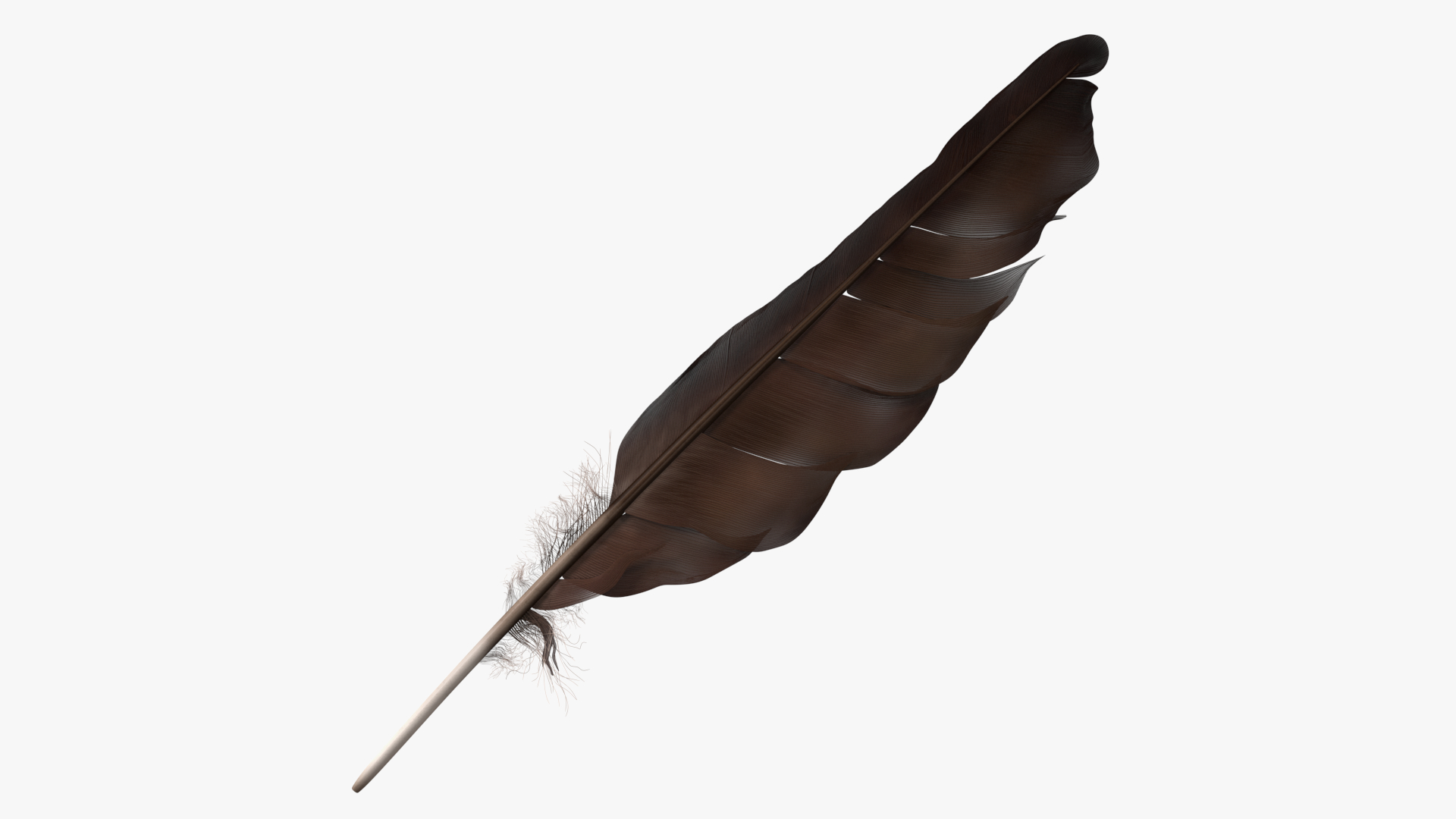 Dark Bird Feather 3D