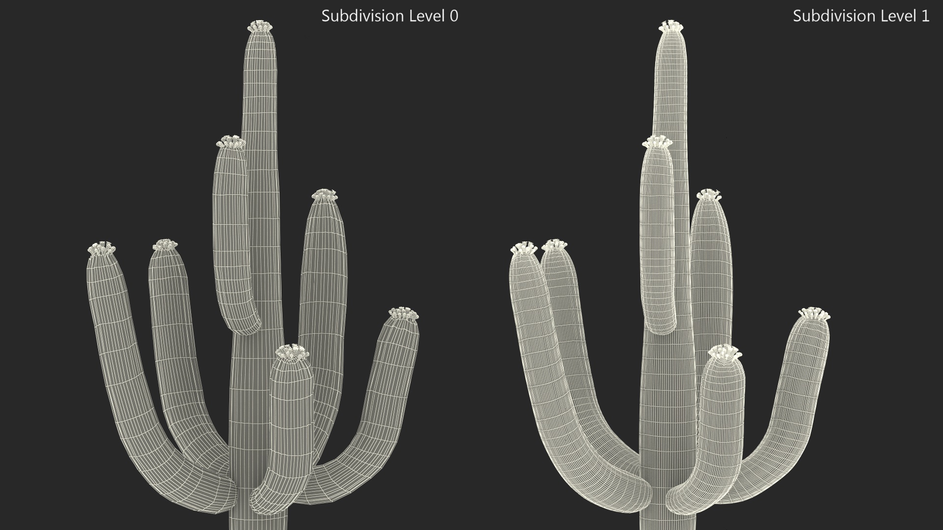 3D Saguaro Cactus Fur model