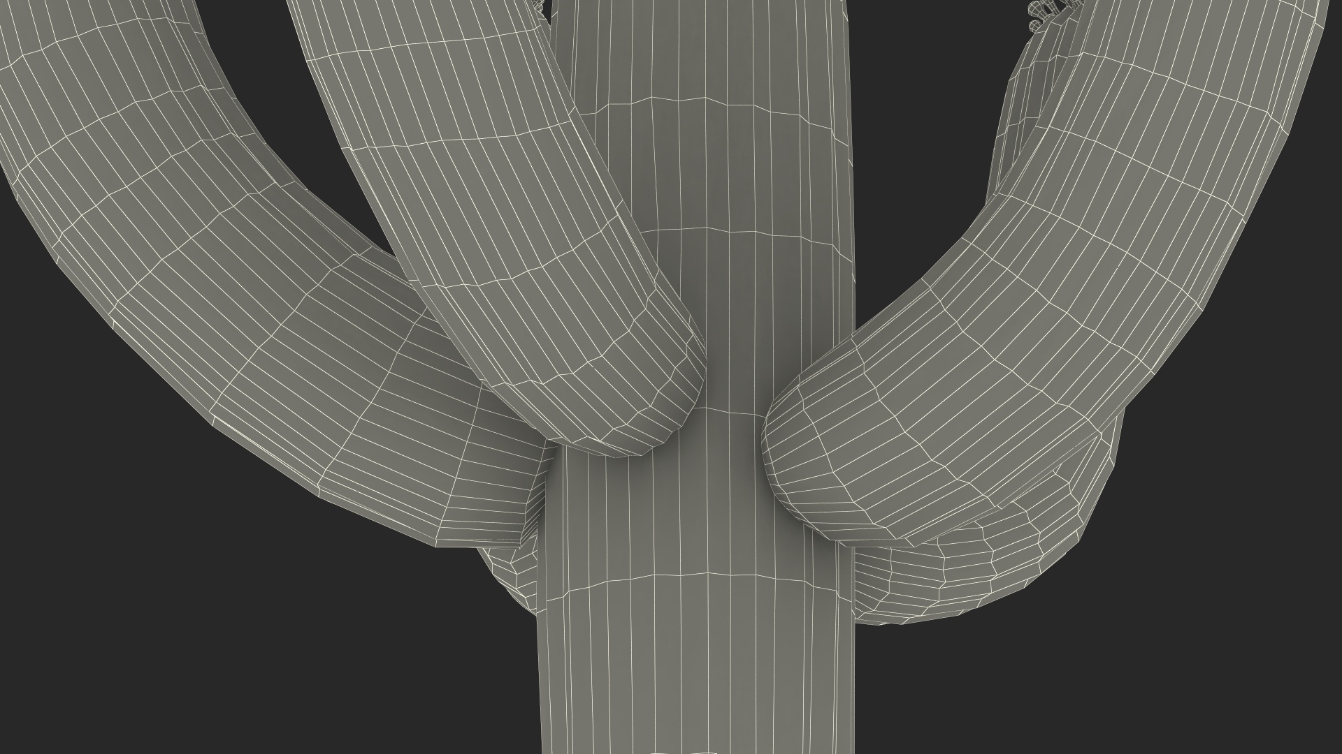 3D Saguaro Cactus Fur model