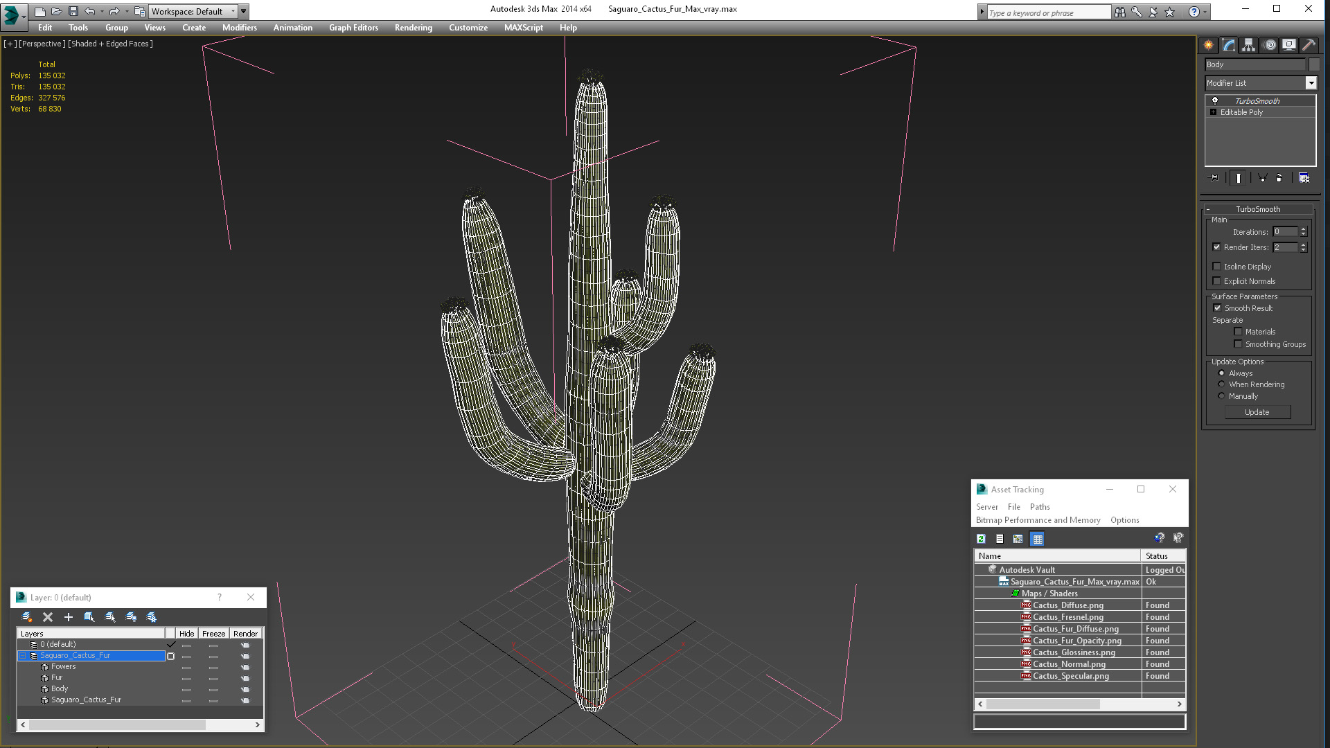 3D Saguaro Cactus Fur model