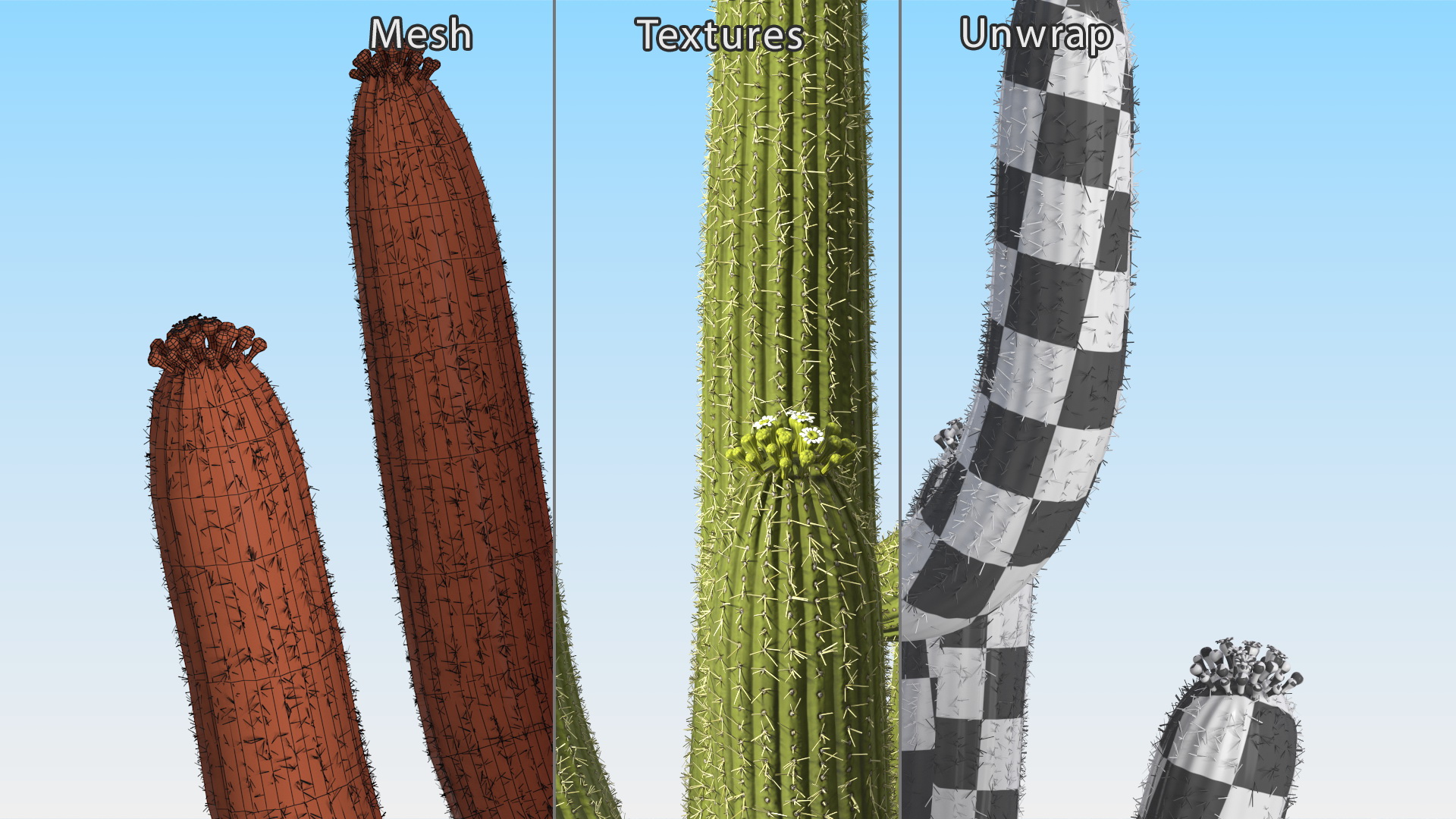 3D Saguaro Cactus Fur model