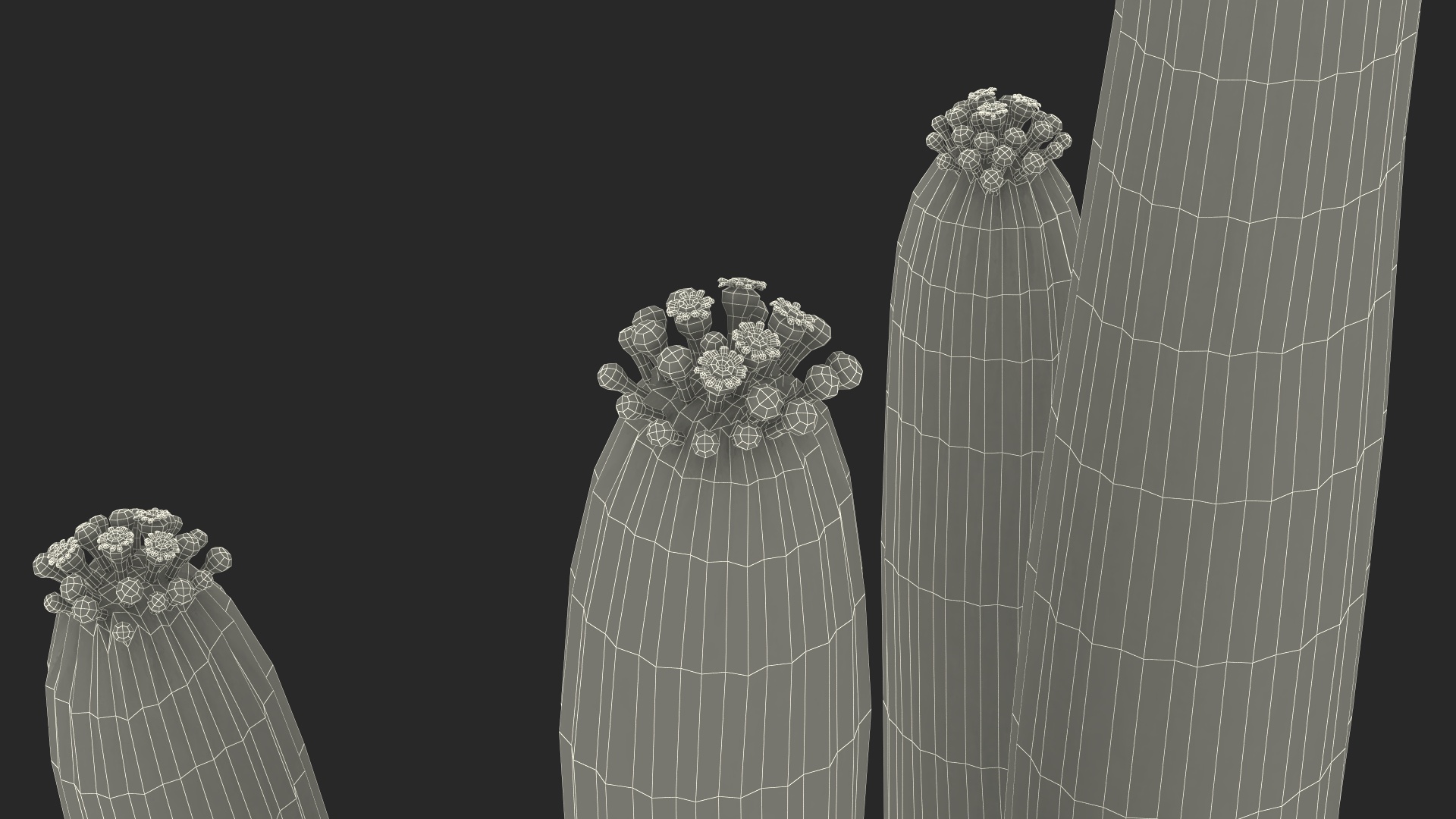 3D Saguaro Cactus Fur model