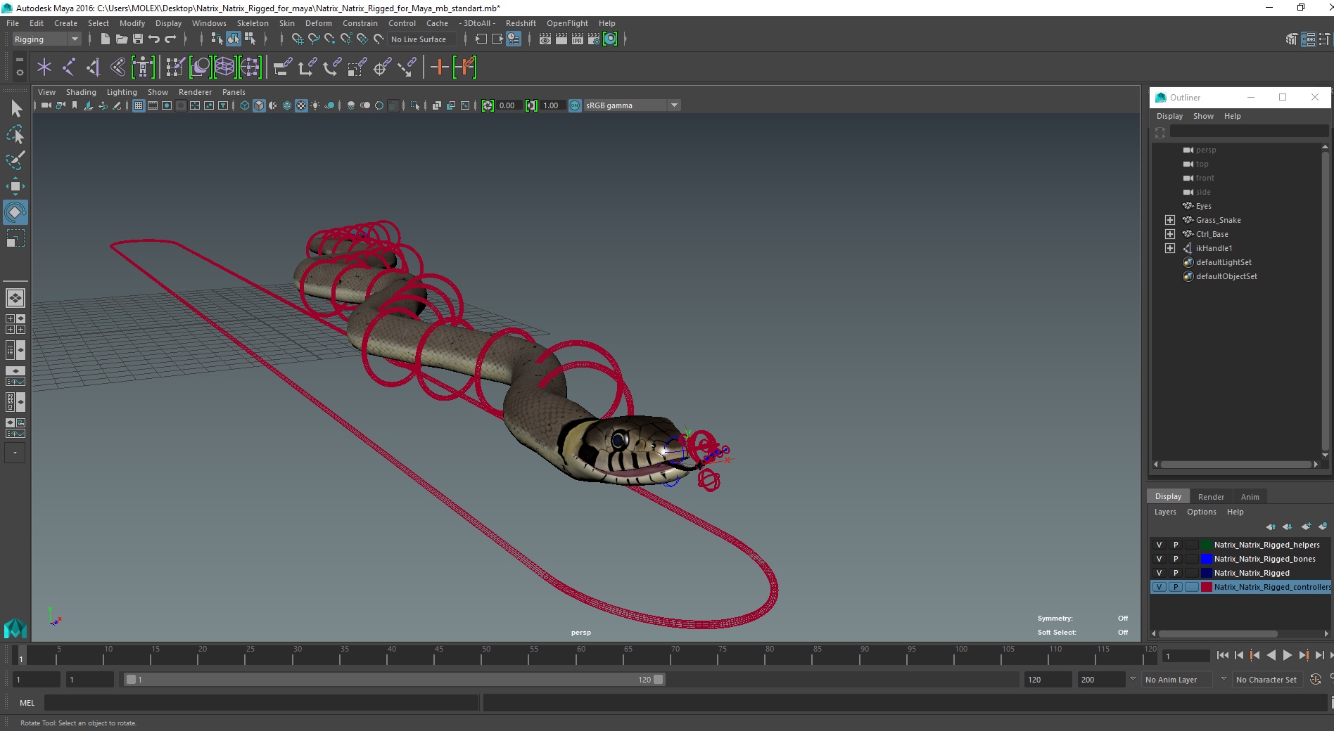 Natrix Natrix Rigged for Maya 3D model