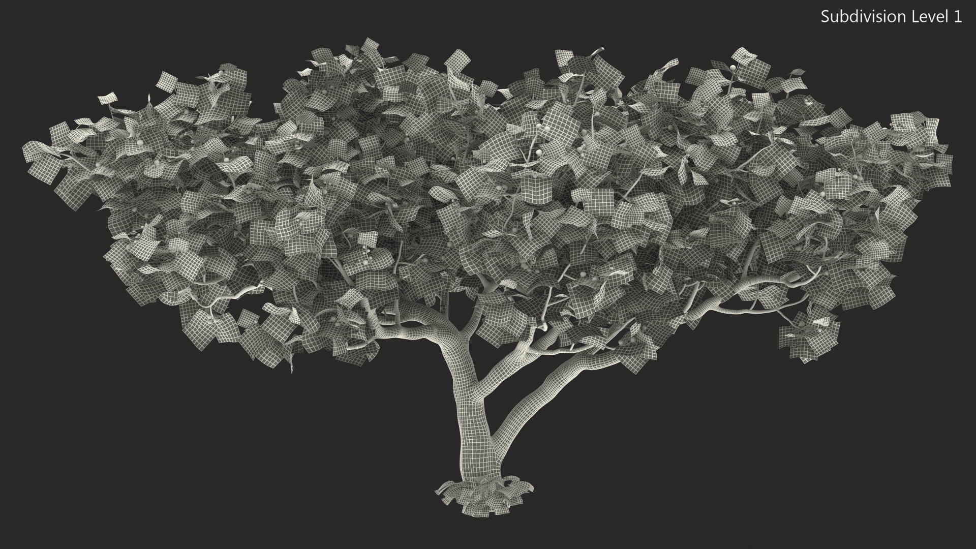 Big Fig Tree with Fruits 3D model