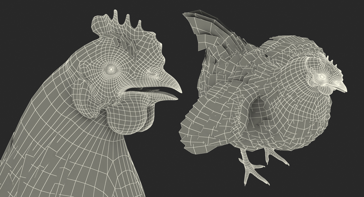 Chicken 3D model