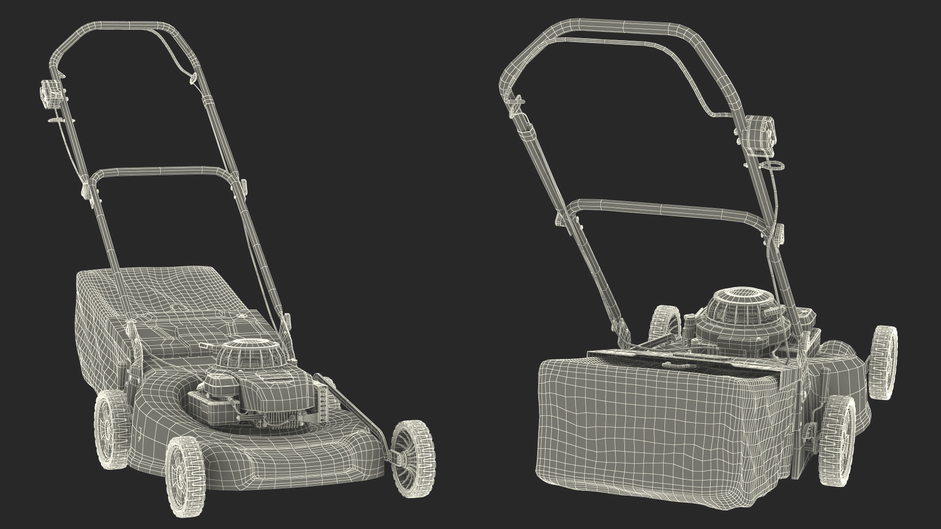 Gas Push Mower 3D model