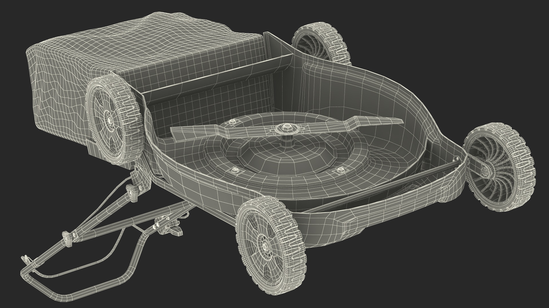 Gas Push Mower 3D model