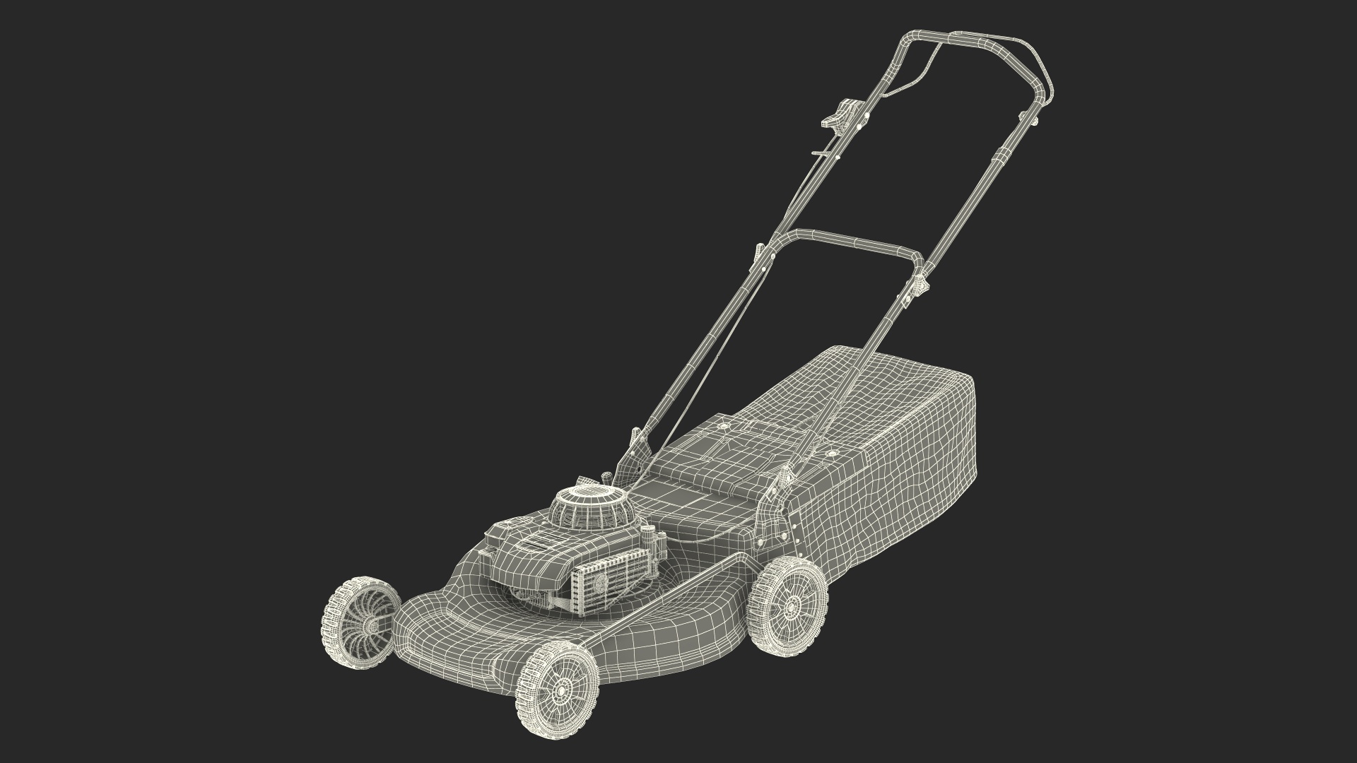 Gas Push Mower 3D model