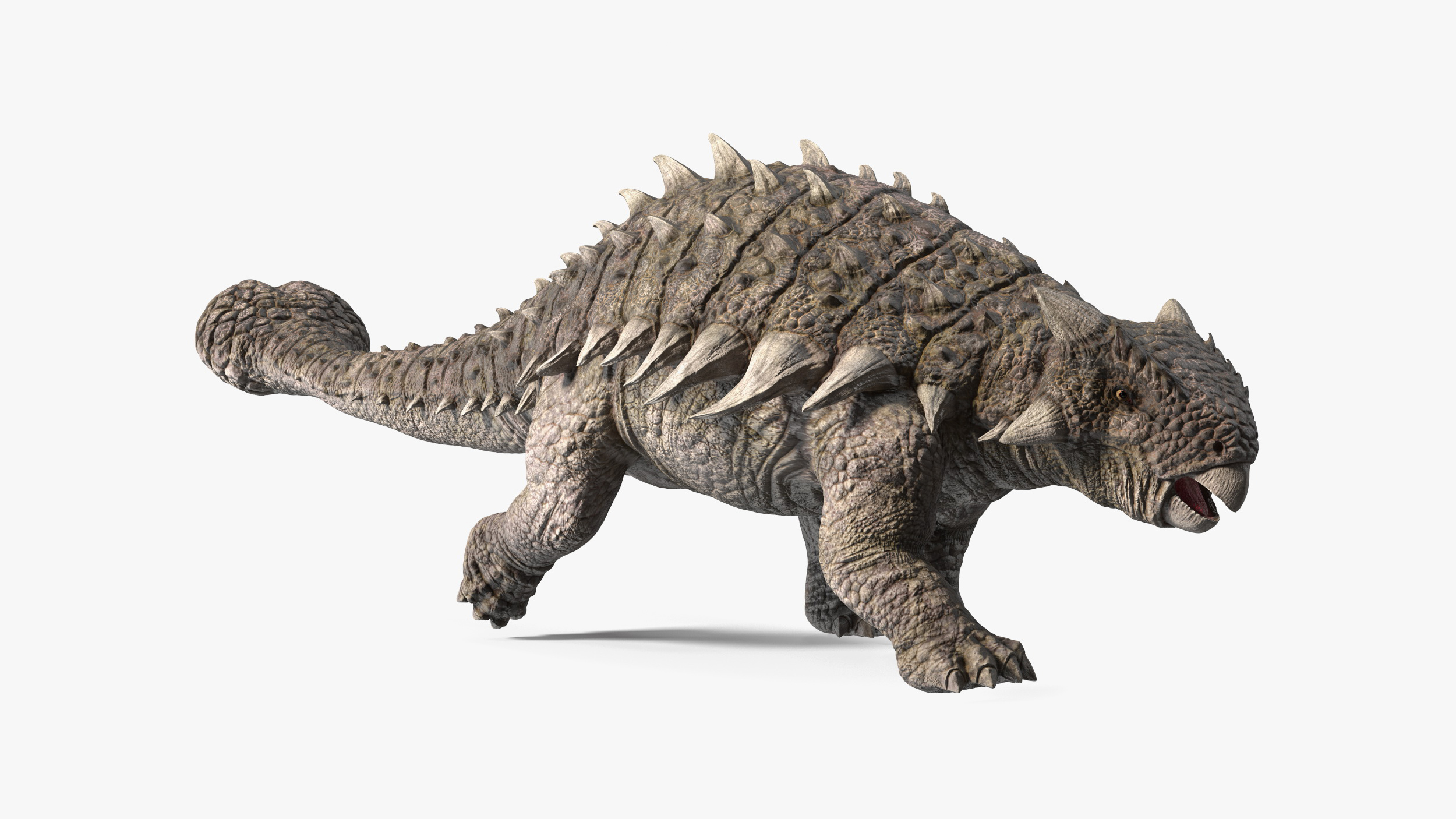 Ankylosaurus from Desert Habitats Rigged for Maya 3D model