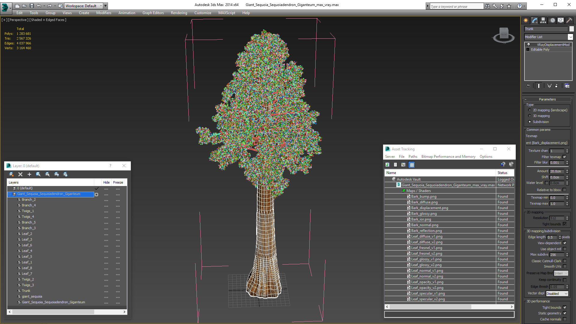 3D Giant Sequoia Sequoiadendron Giganteum model