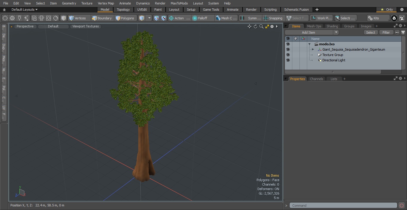 3D Giant Sequoia Sequoiadendron Giganteum model