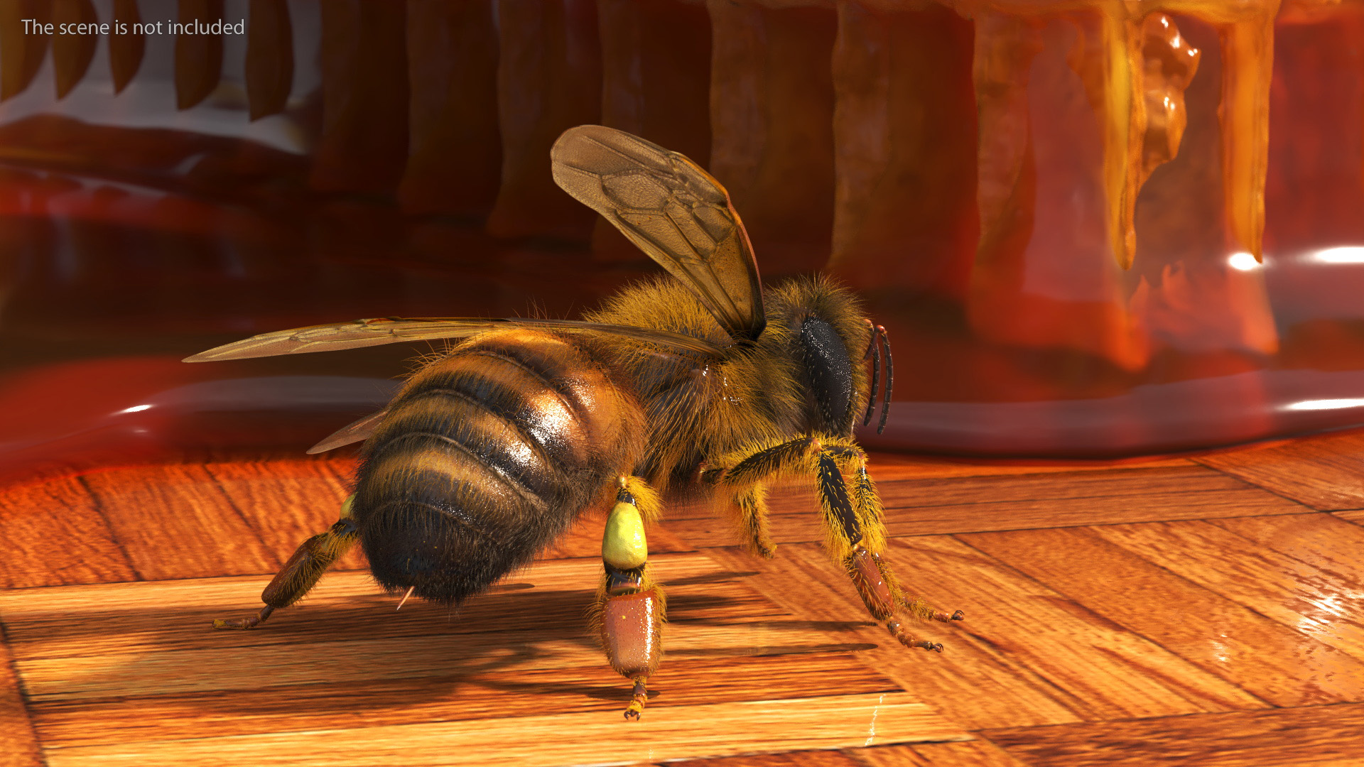 Realistic HoneyBee Fur 3D