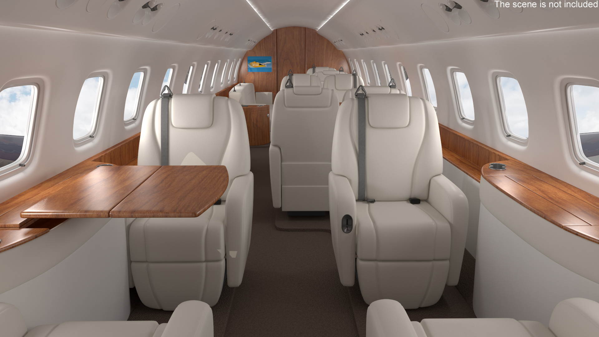 3D Private Jet Aircraft 650E with Cabin Rigged model