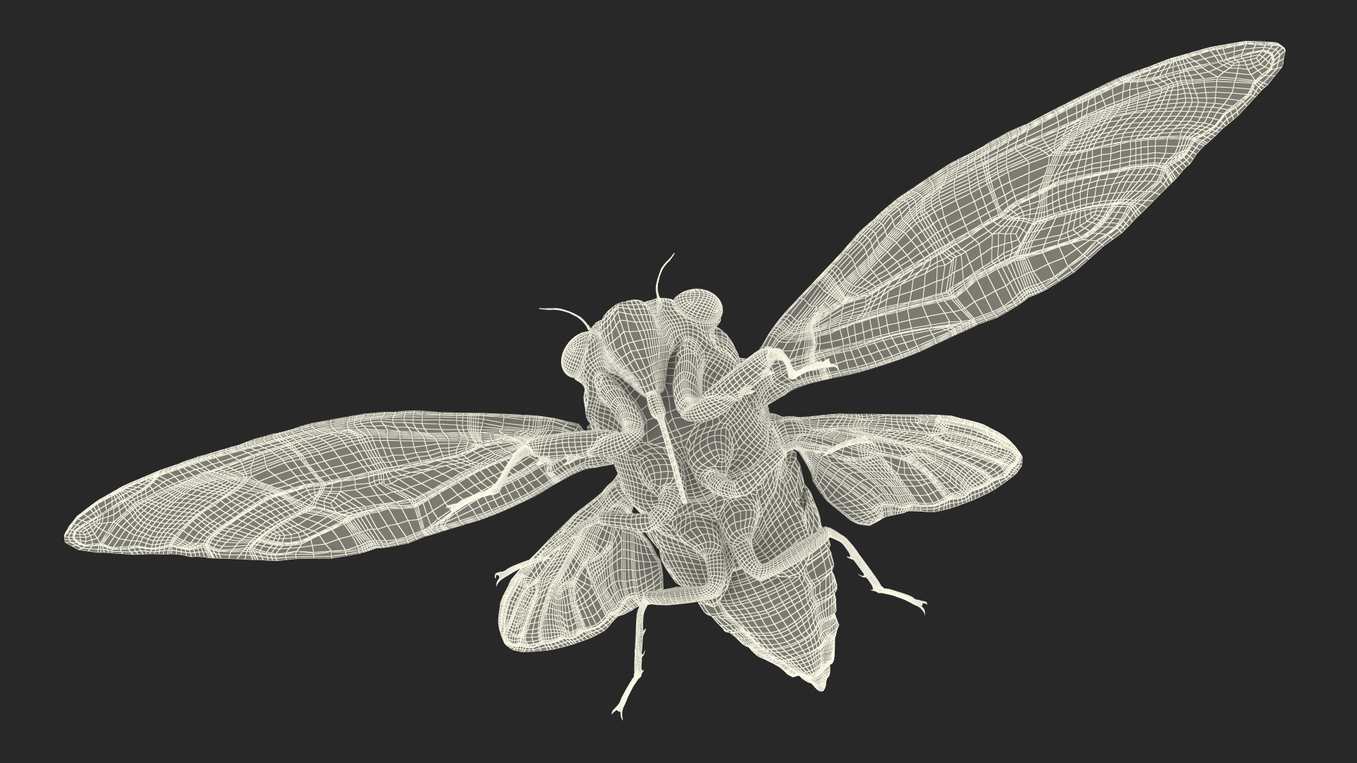 Cicada Fur Rigged 3D