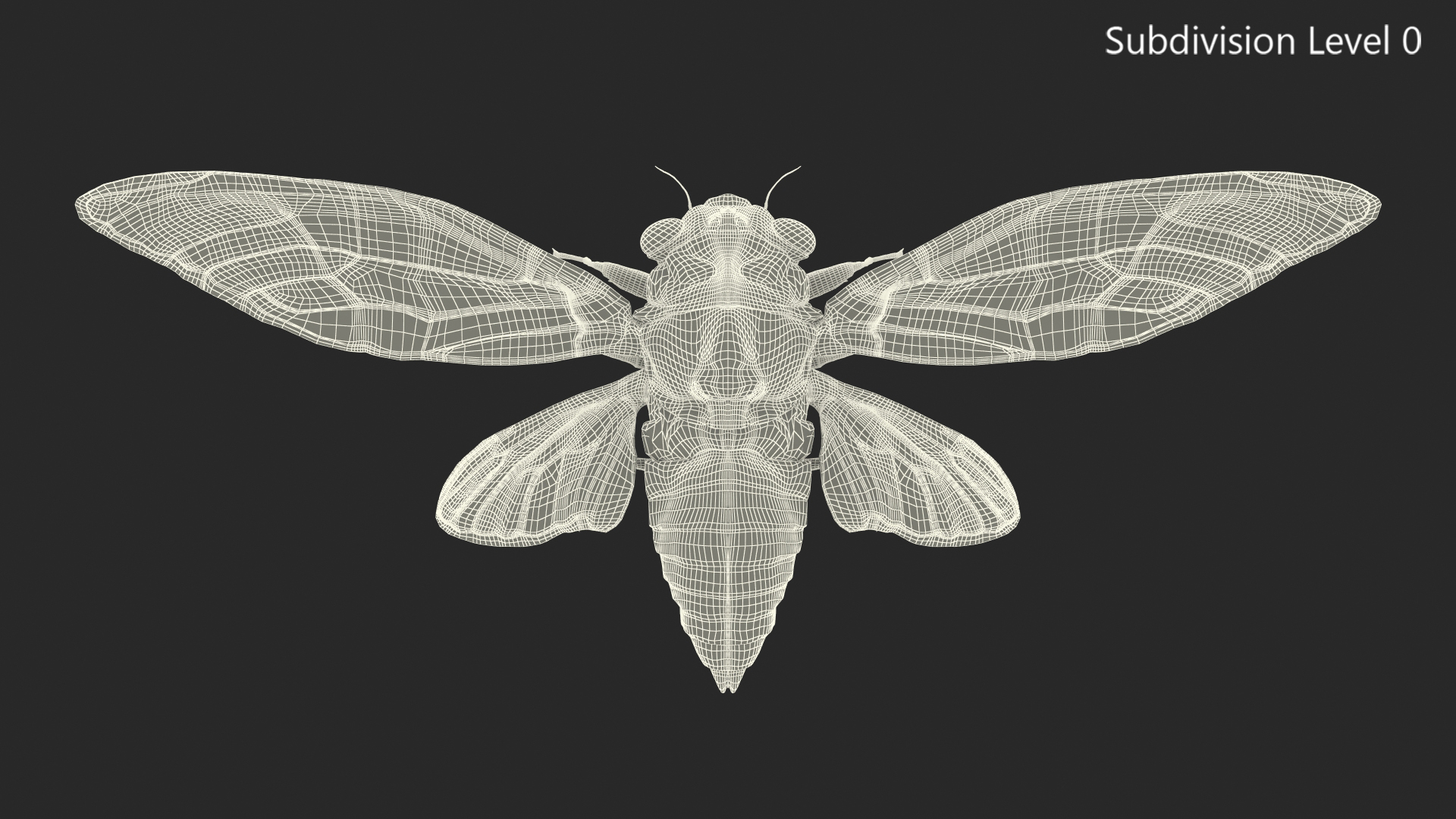 Cicada Fur Rigged 3D