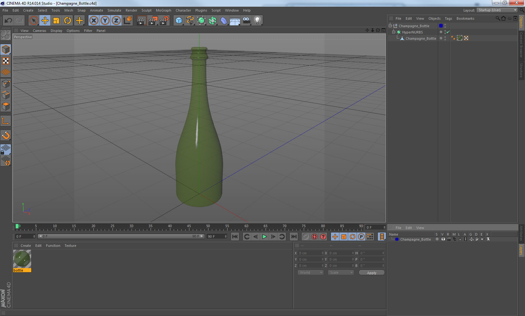 3D Champagne Bottle