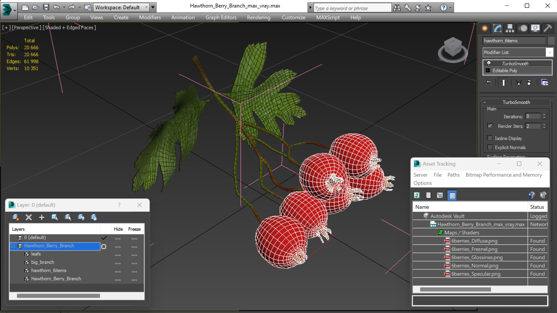 3D Hawthorn Berry Branch