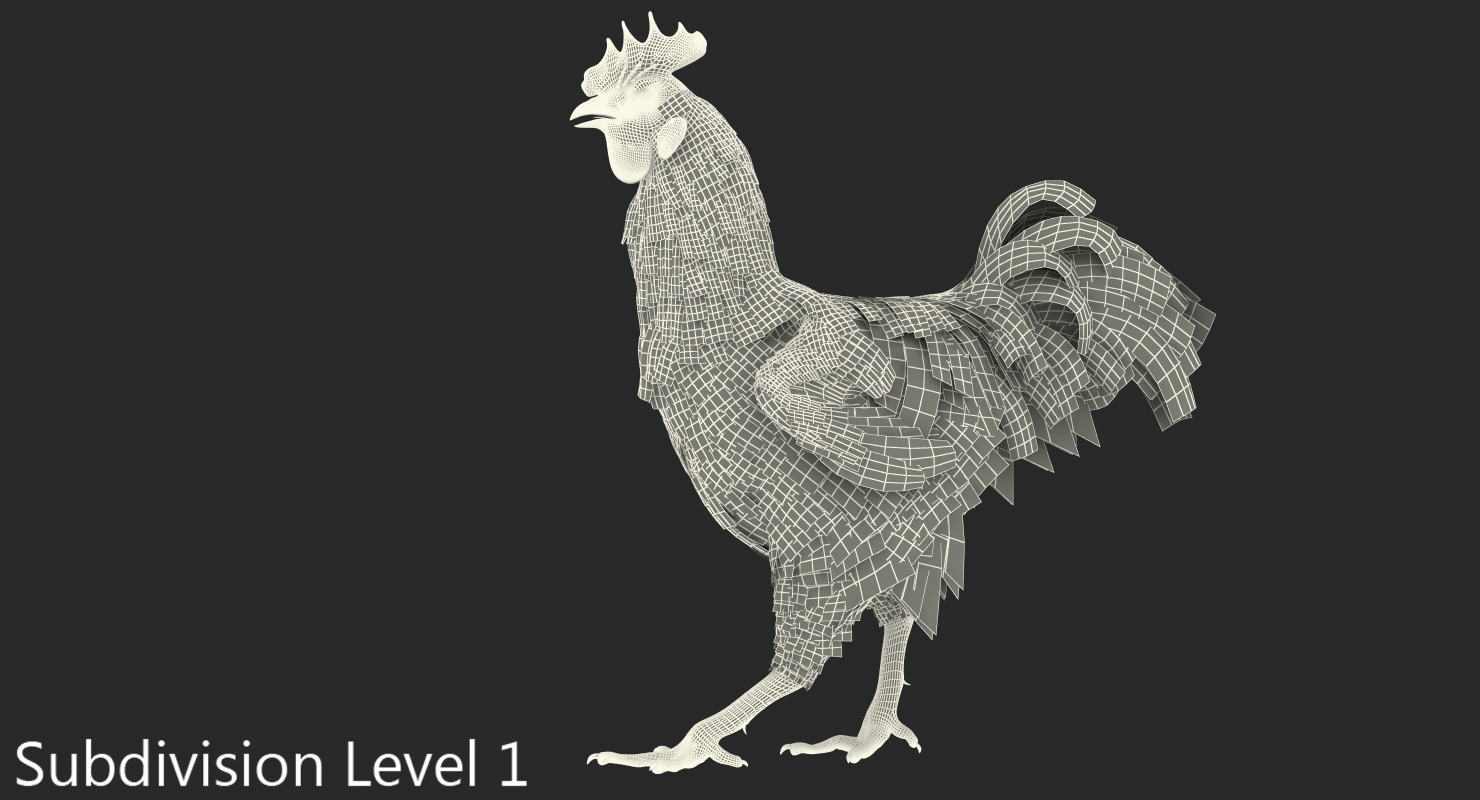 Brown Hen Walking 3D