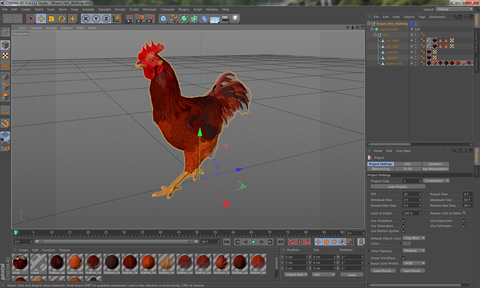 Brown Hen Walking 3D