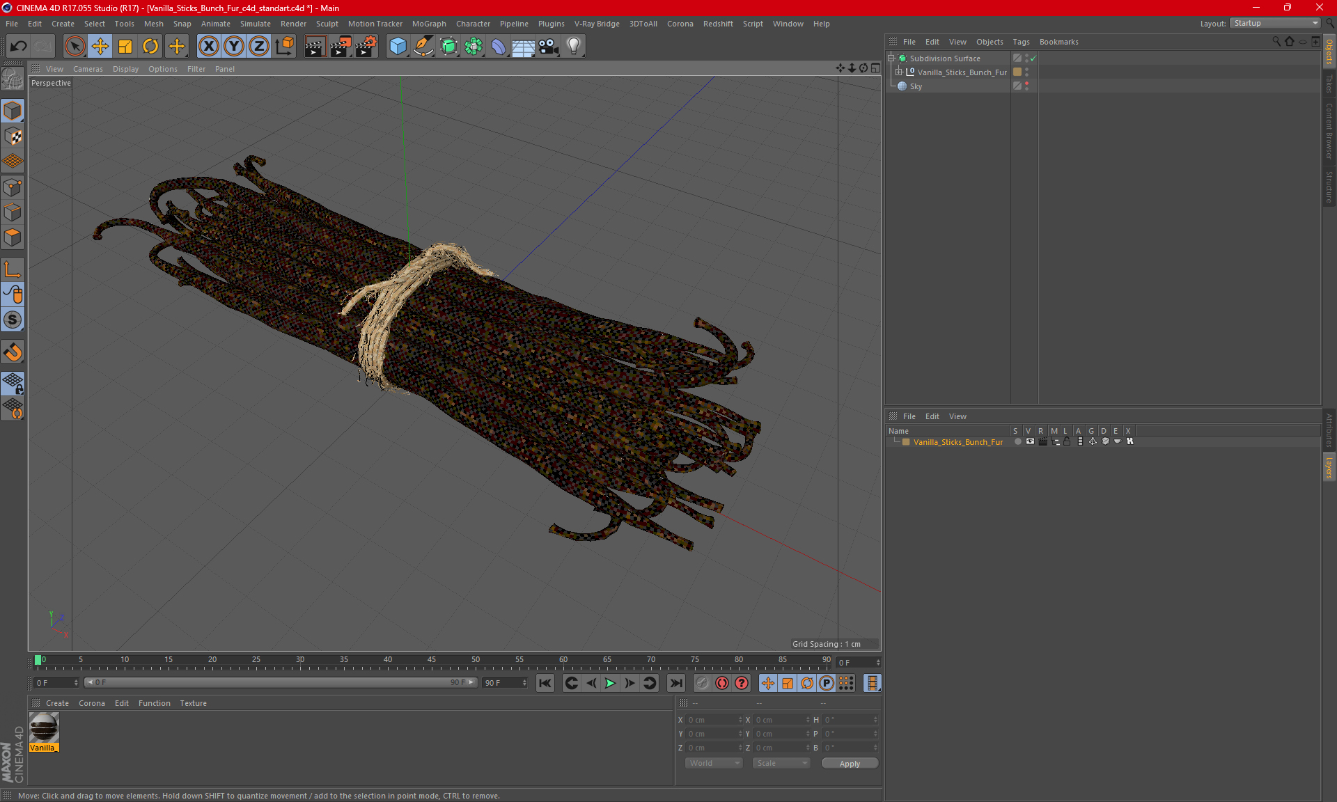 Vanilla Sticks Bunch Fur 3D model