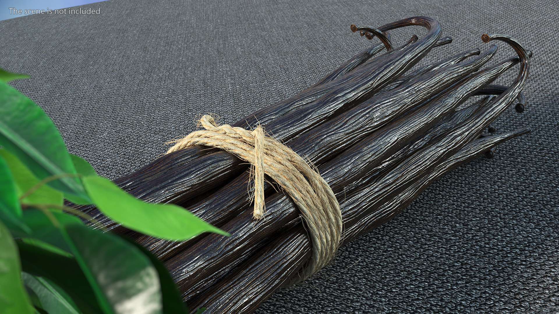 Vanilla Sticks Bunch Fur 3D model