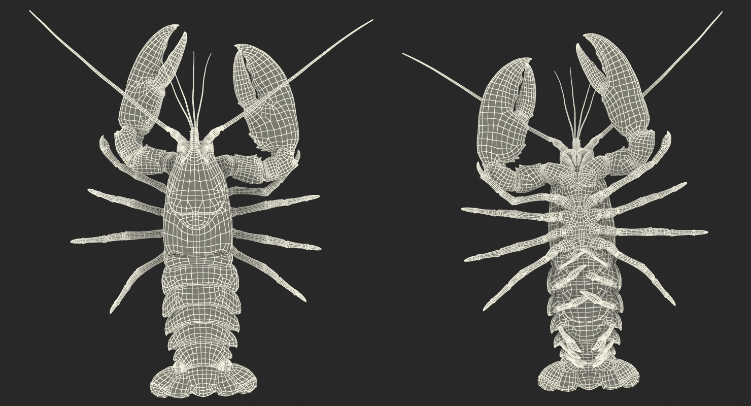 Lobster Pose 4 3D model